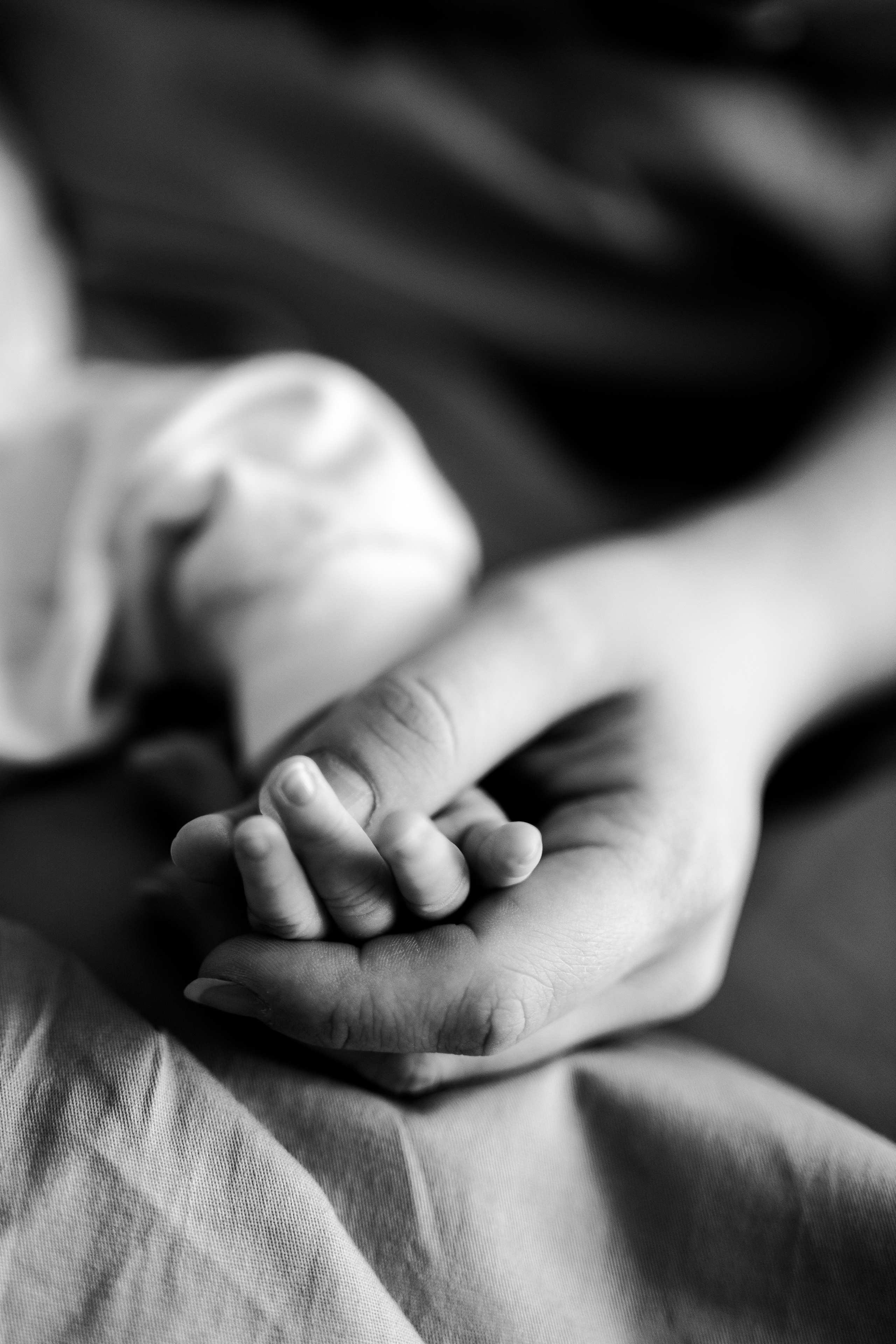 Катя, Коля и мамапапа