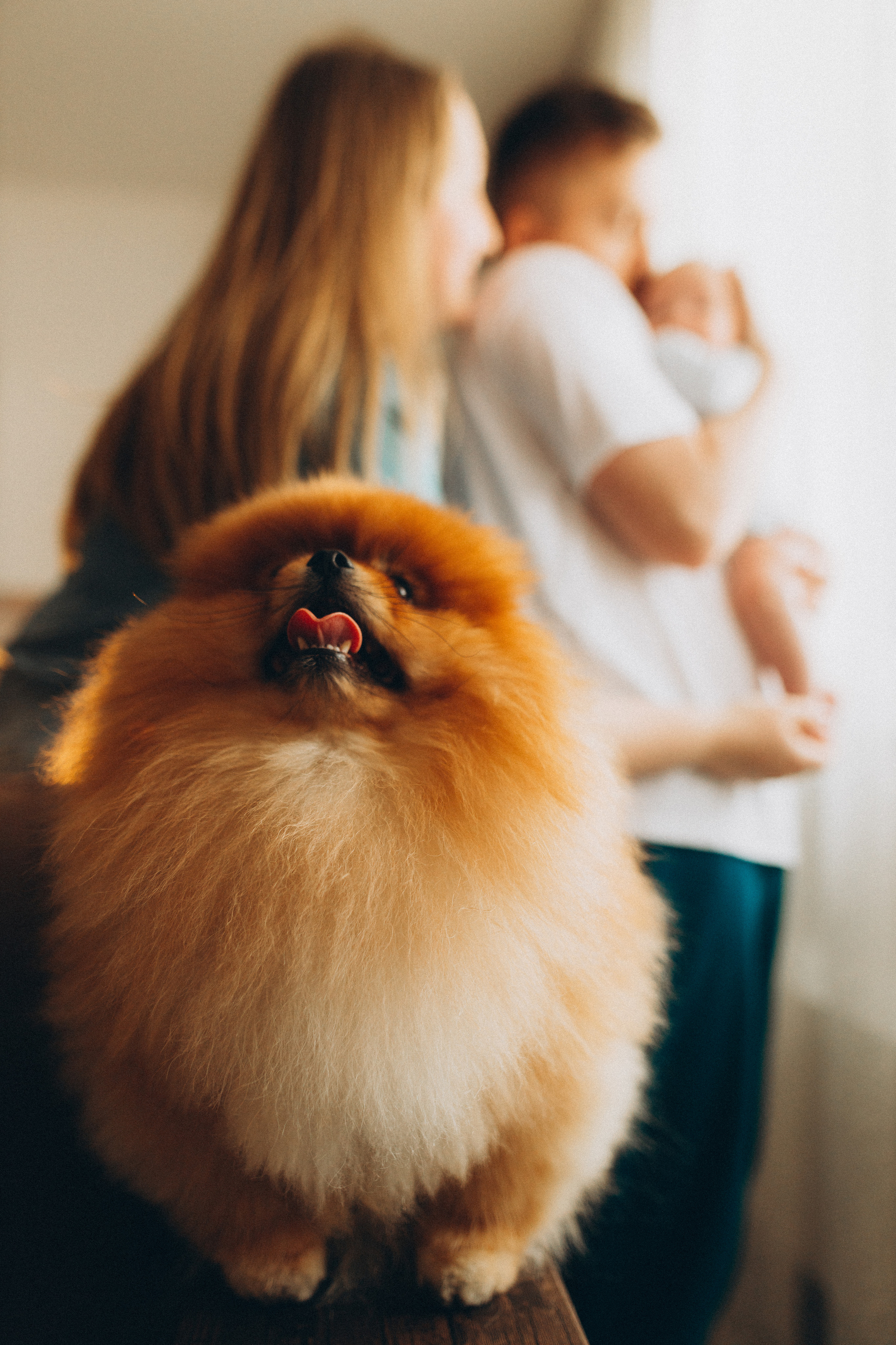 Илья, Полина и Макар