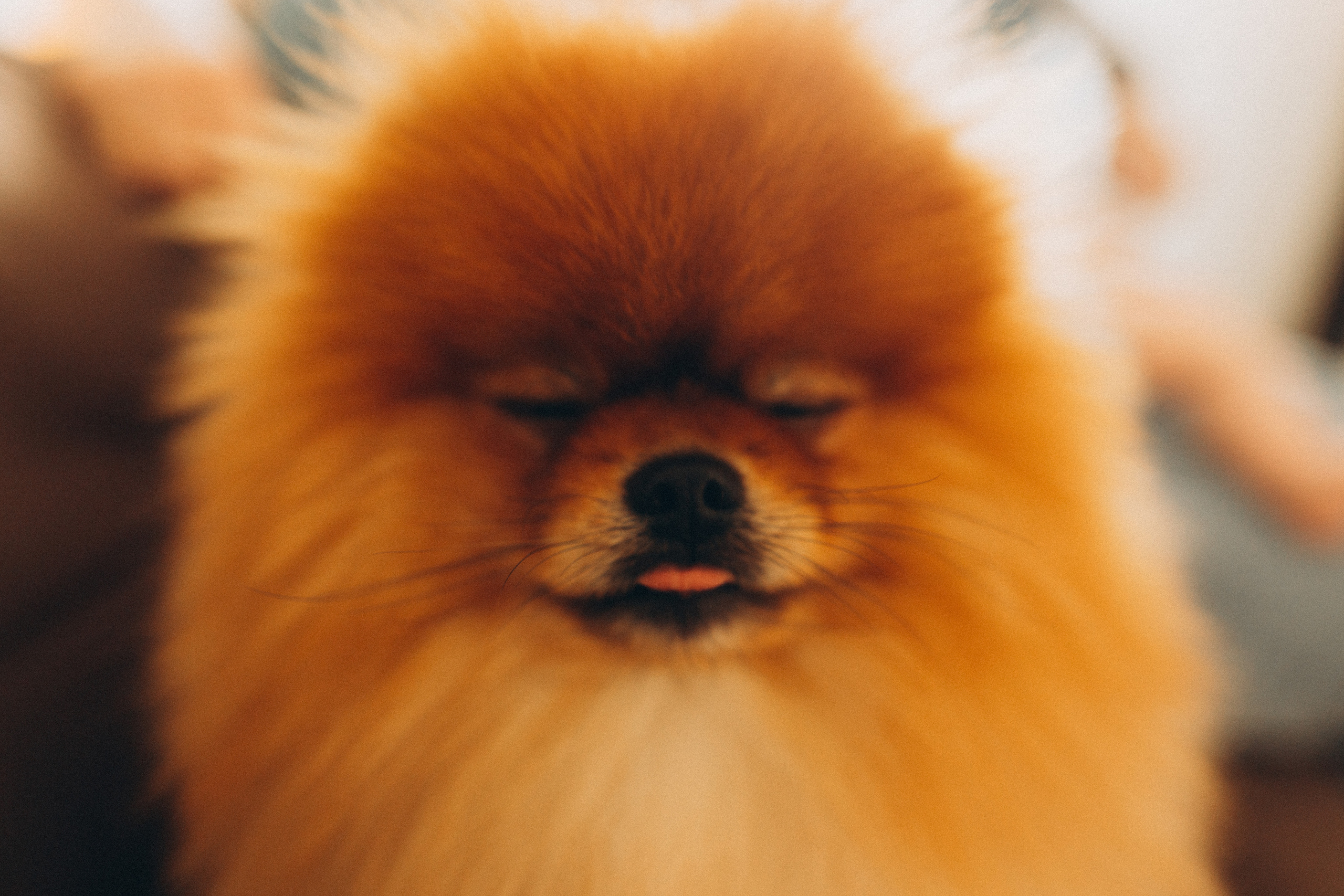 Илья, Полина и Макар