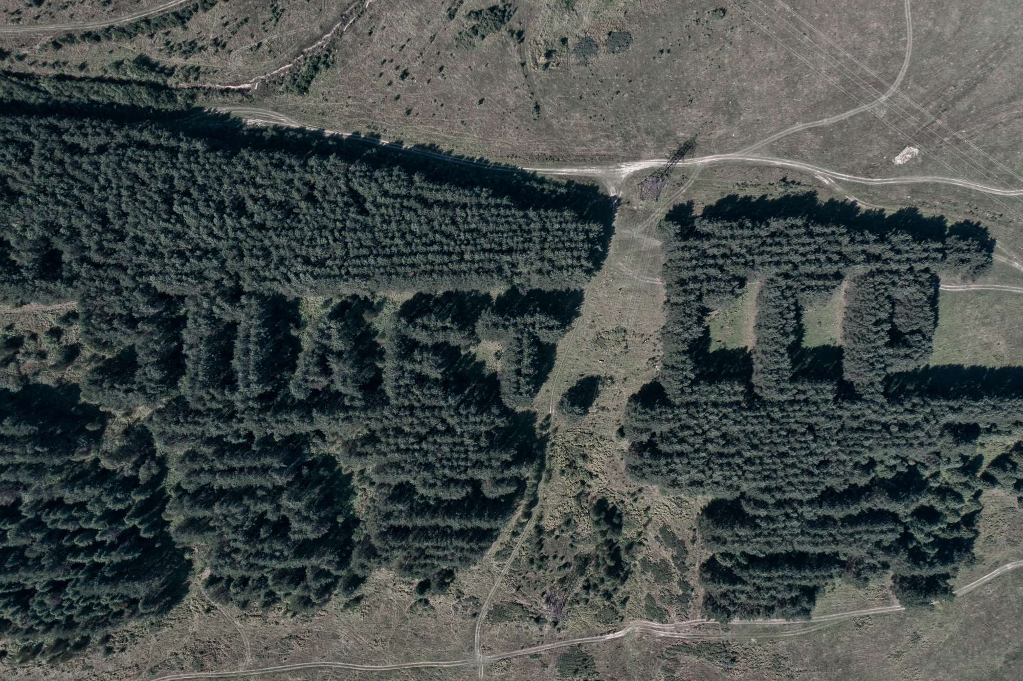 The Oikumene. Lesha Pavlov