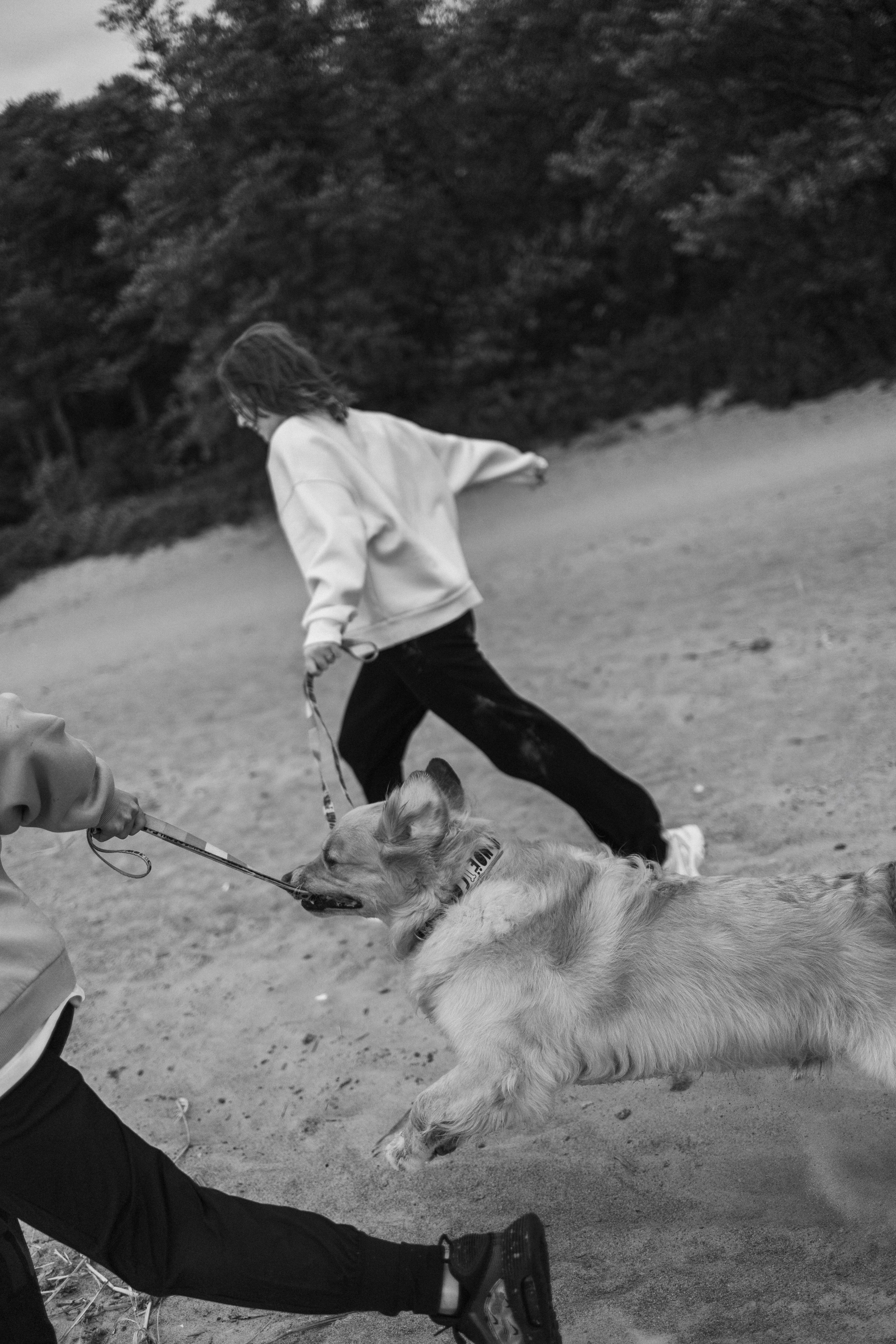 Фоси и его семьи. Фотограф — Анималист | Санкт-Петербург