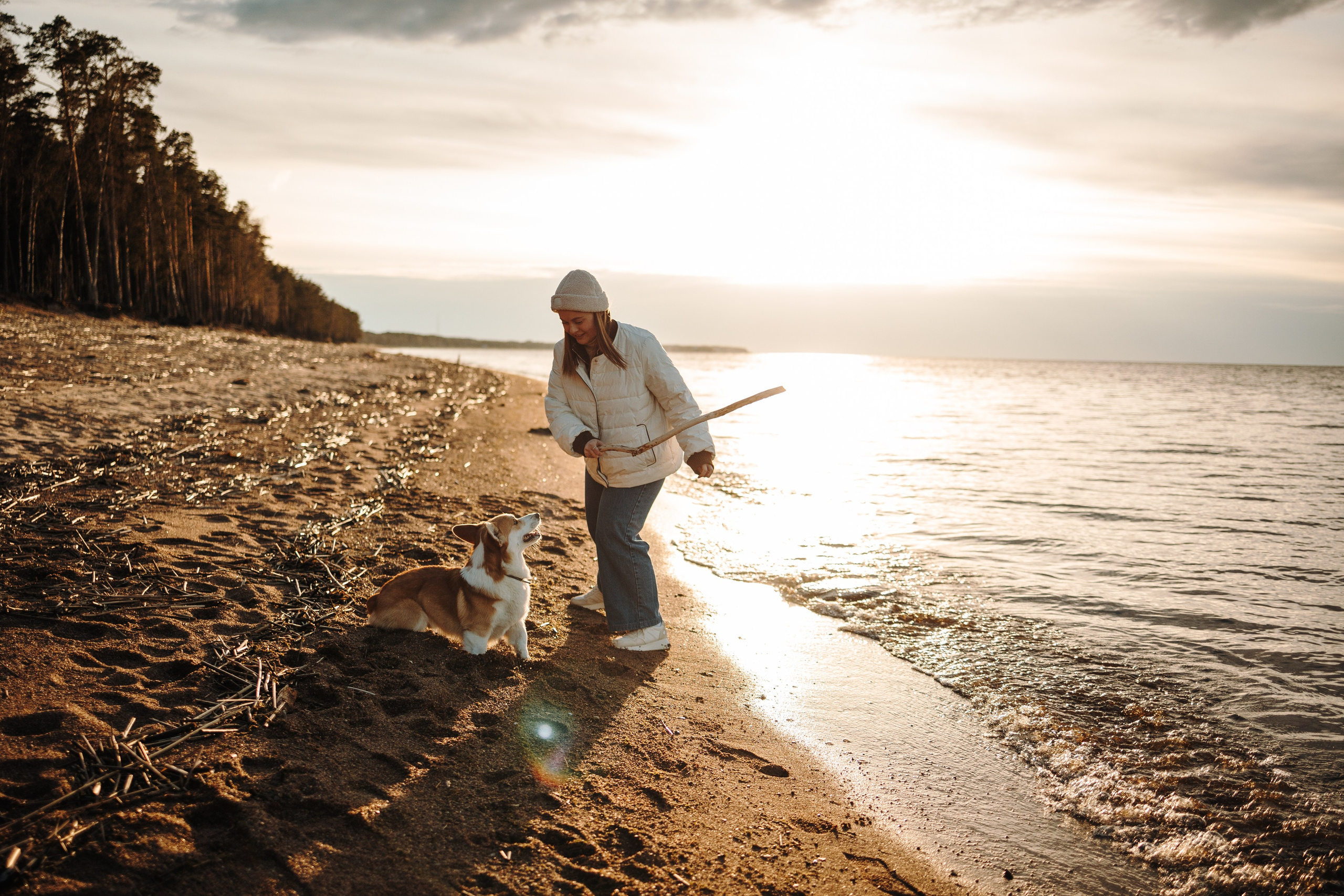 Найт и его семья. Фотограф — Анималист | Санкт-Петербург