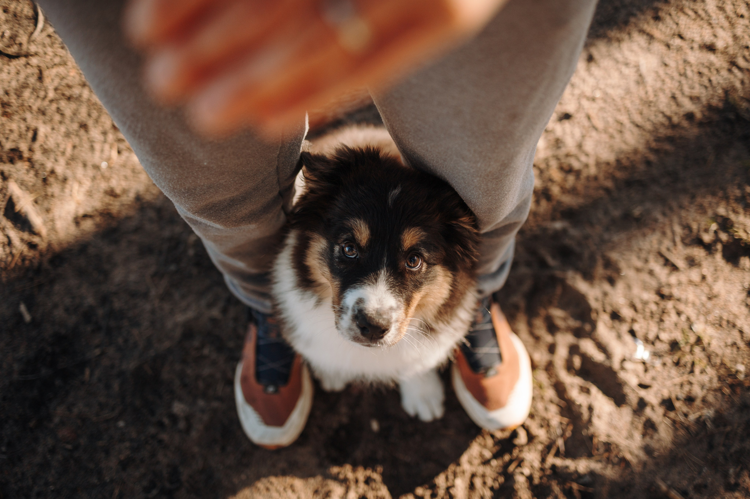 Ира и Шмель. Фотограф — Анималист | Санкт-Петербург