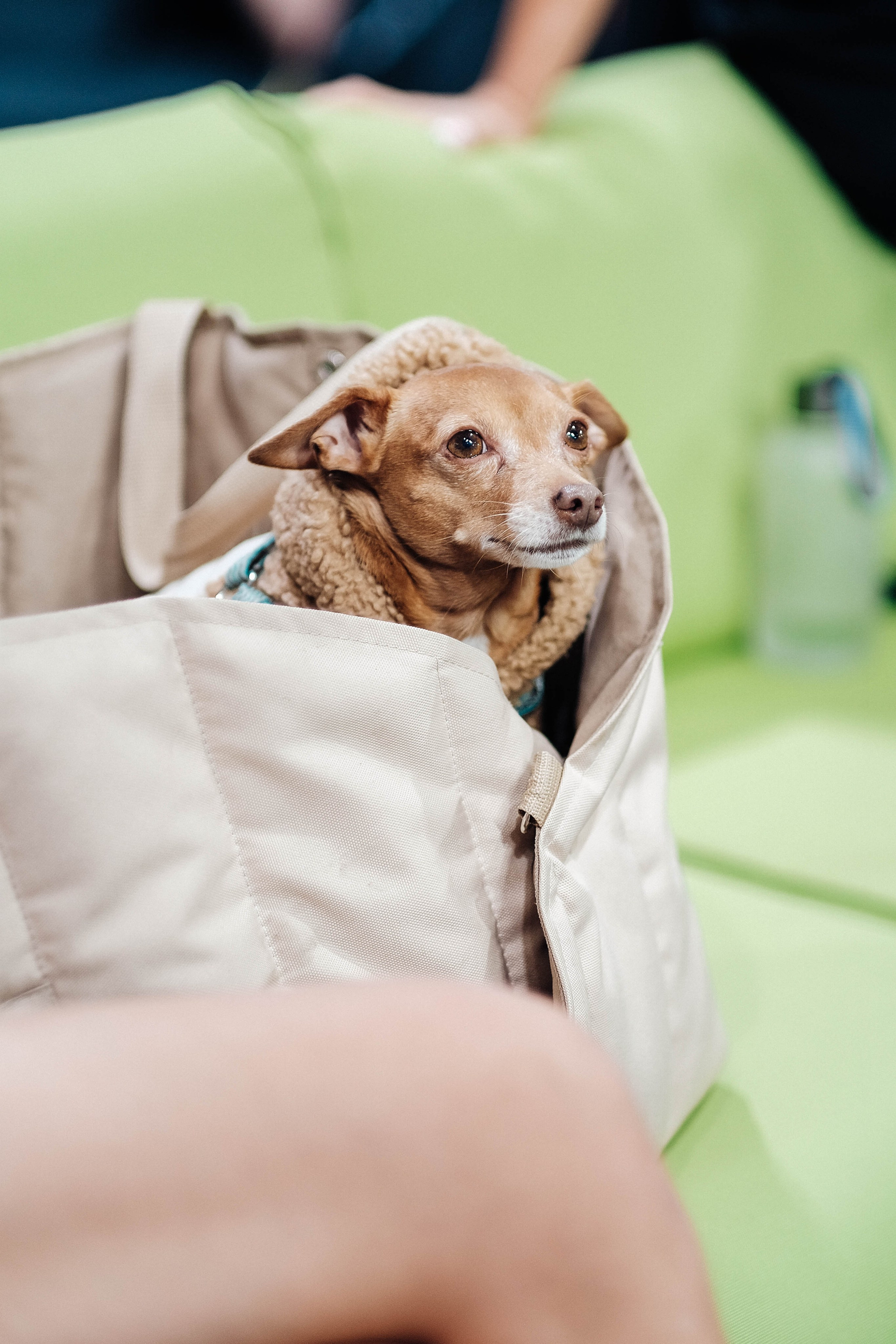 Январь 2025. GoPadel League галерея