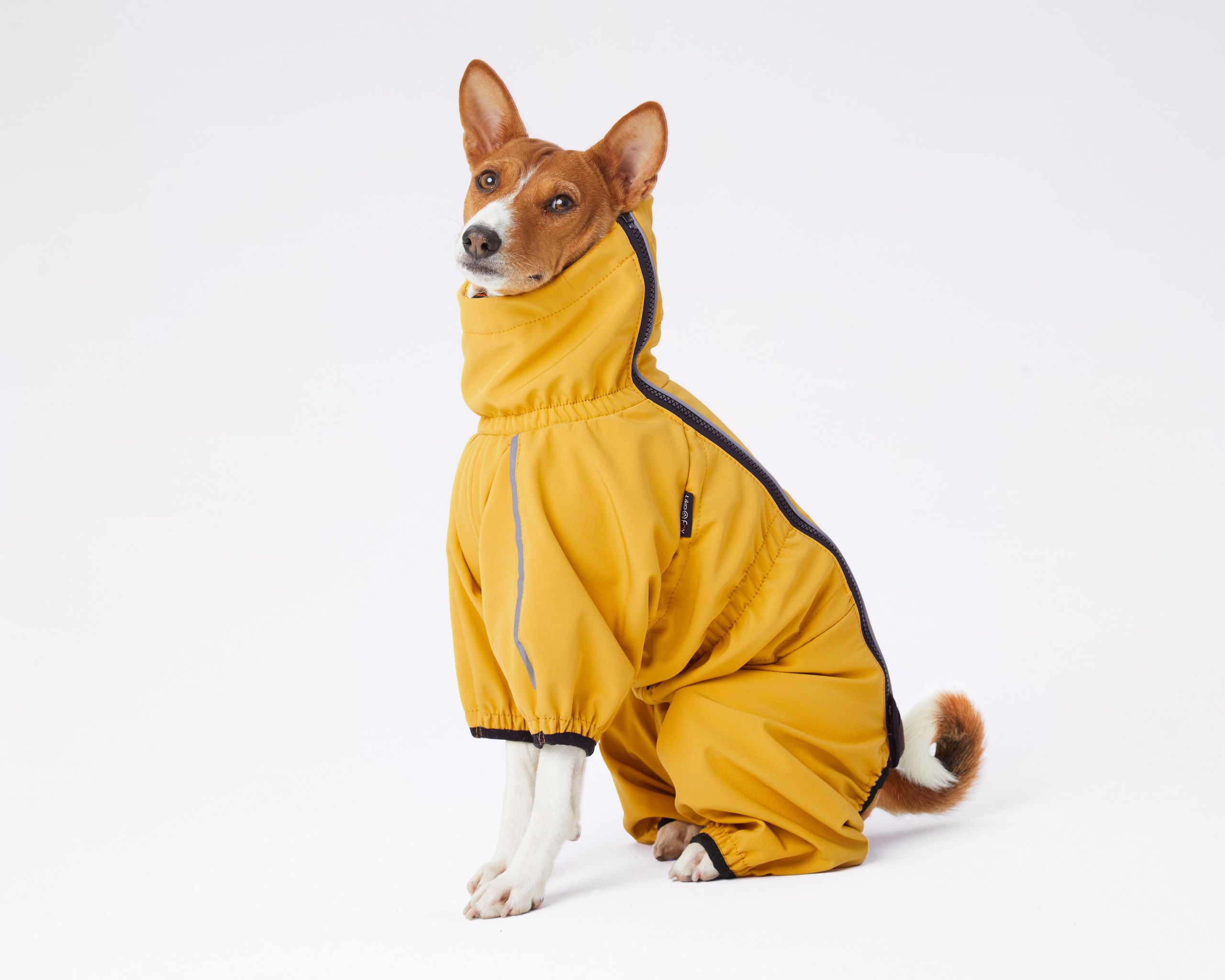 Каталоги. Pets Photography / Фотограф Собак