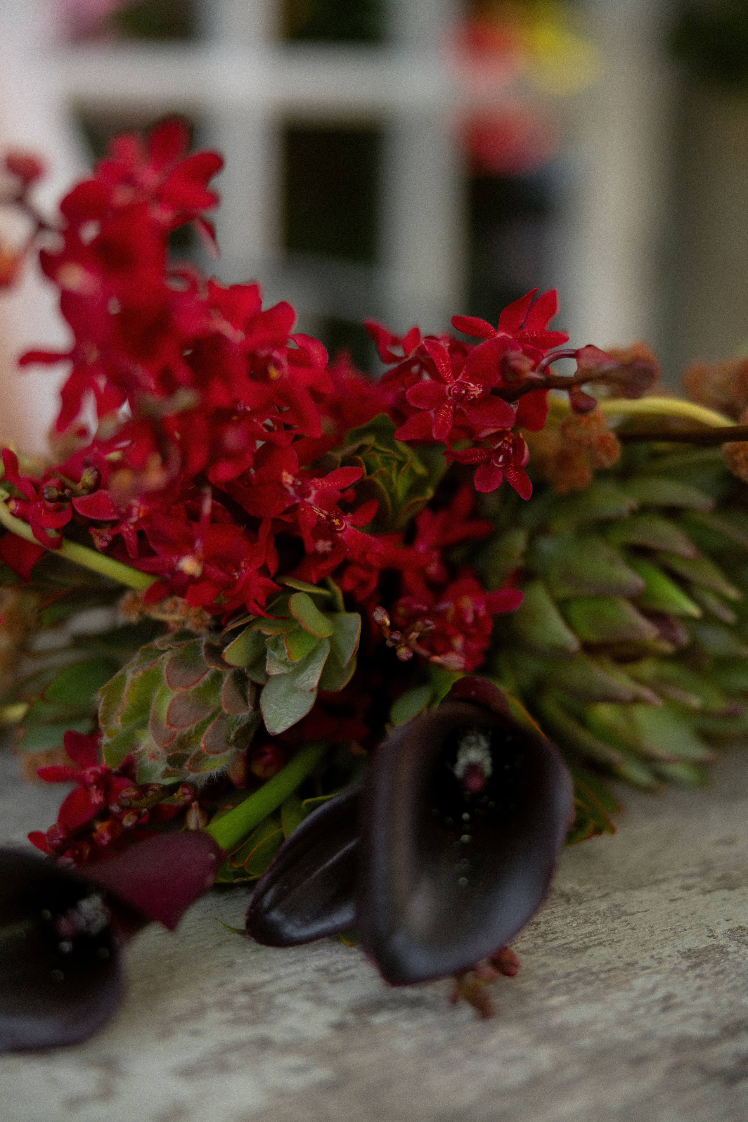 Vlad & Kate. Оформление свадеб, декор свадеб Вера Маркова, Москва