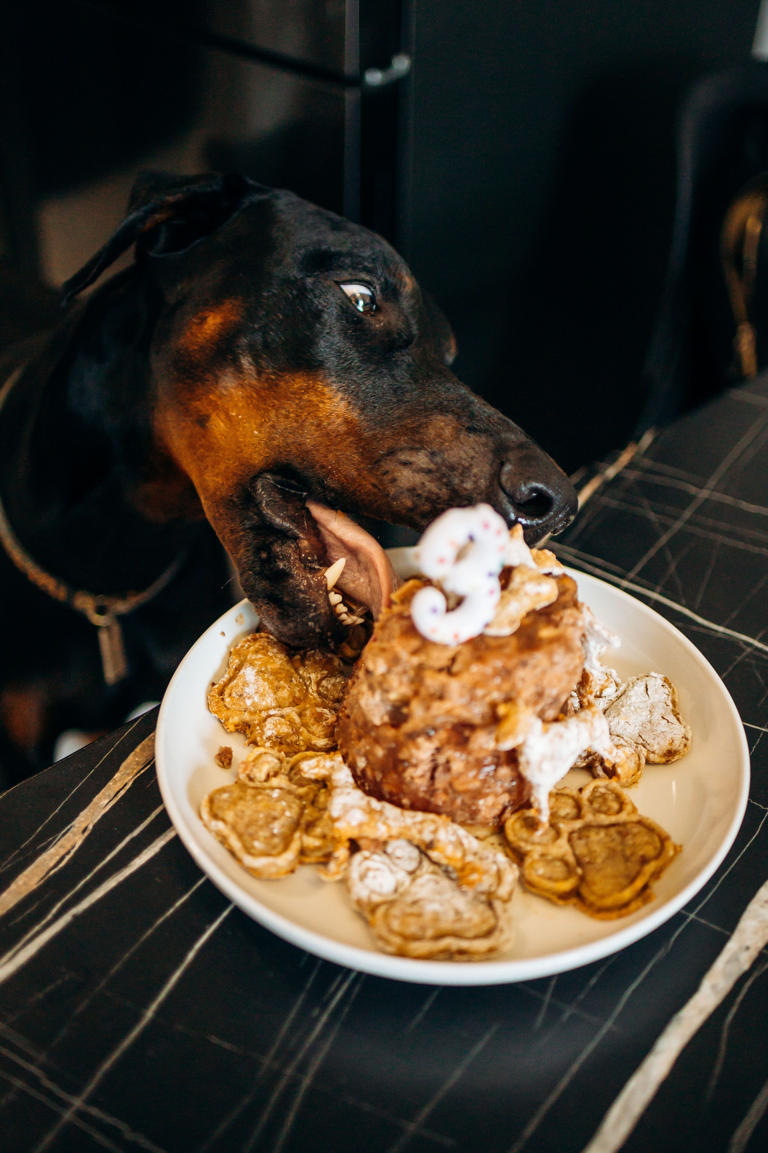 Катя и Конор