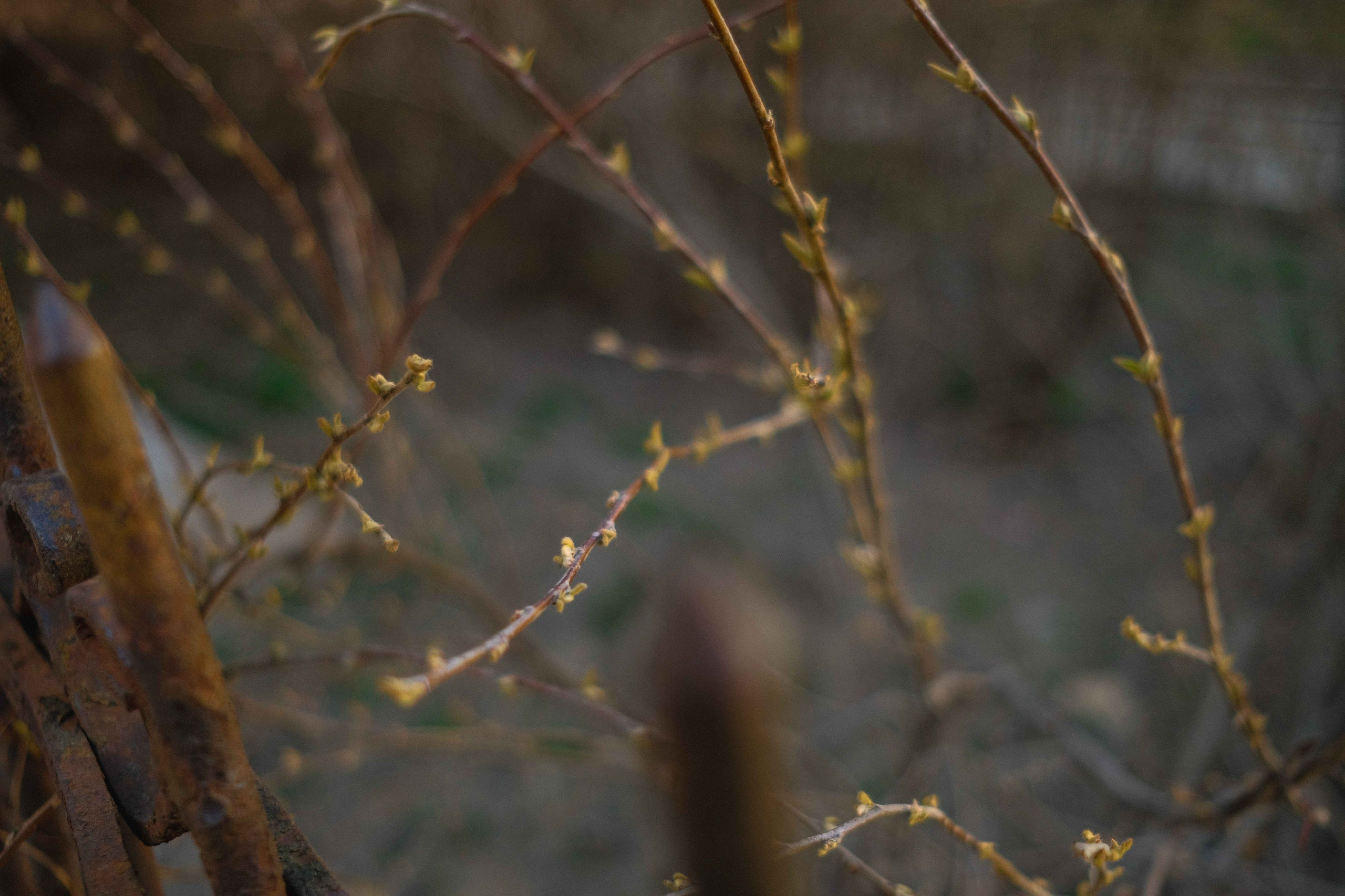 2022.04. Фотограф Алексей Алексеев