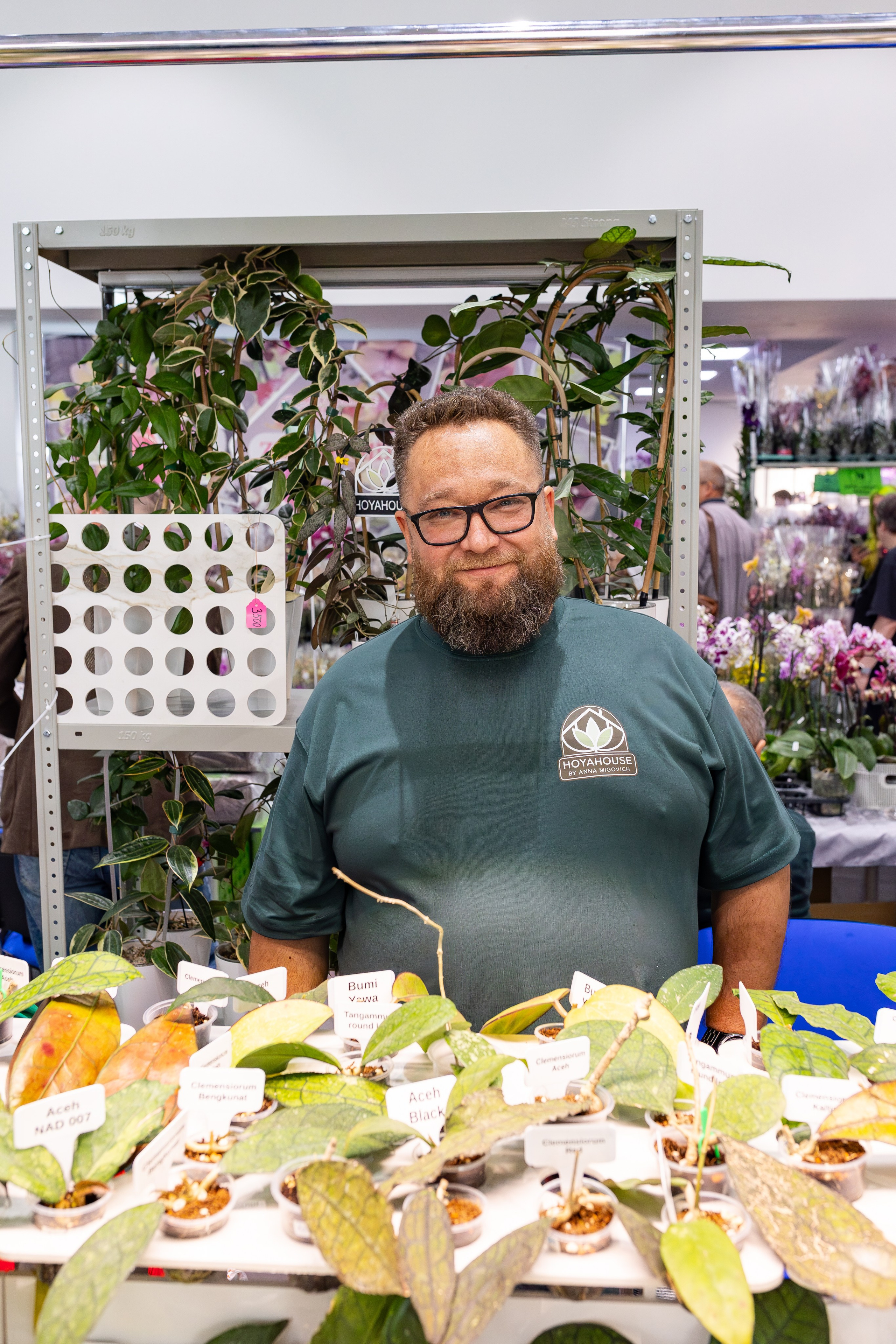 Орхидиум сентябрь 2025. Александра Куликова фотограф, Москва
