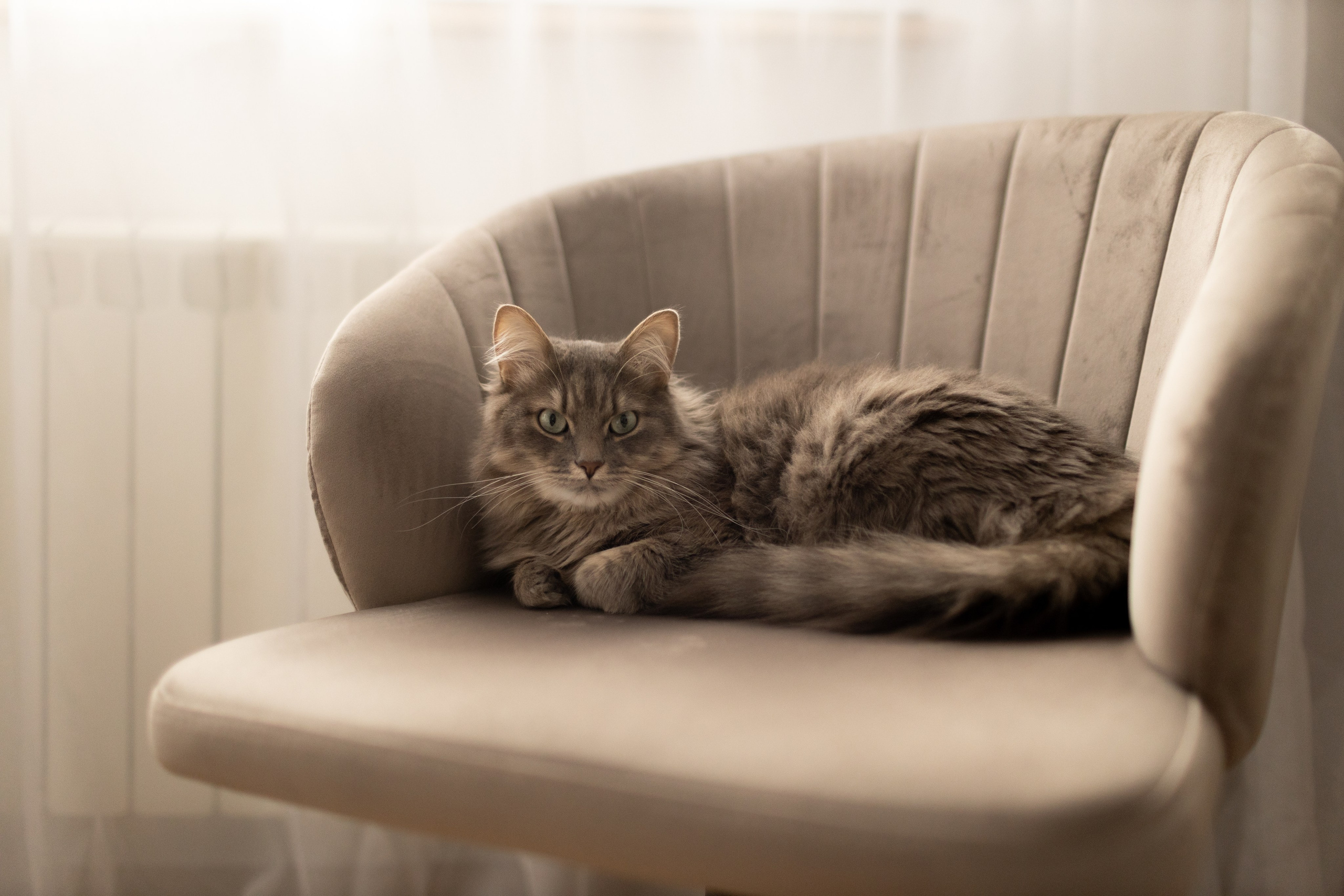 Саша, Рома и Костя. Свадебный фотограф | Москва