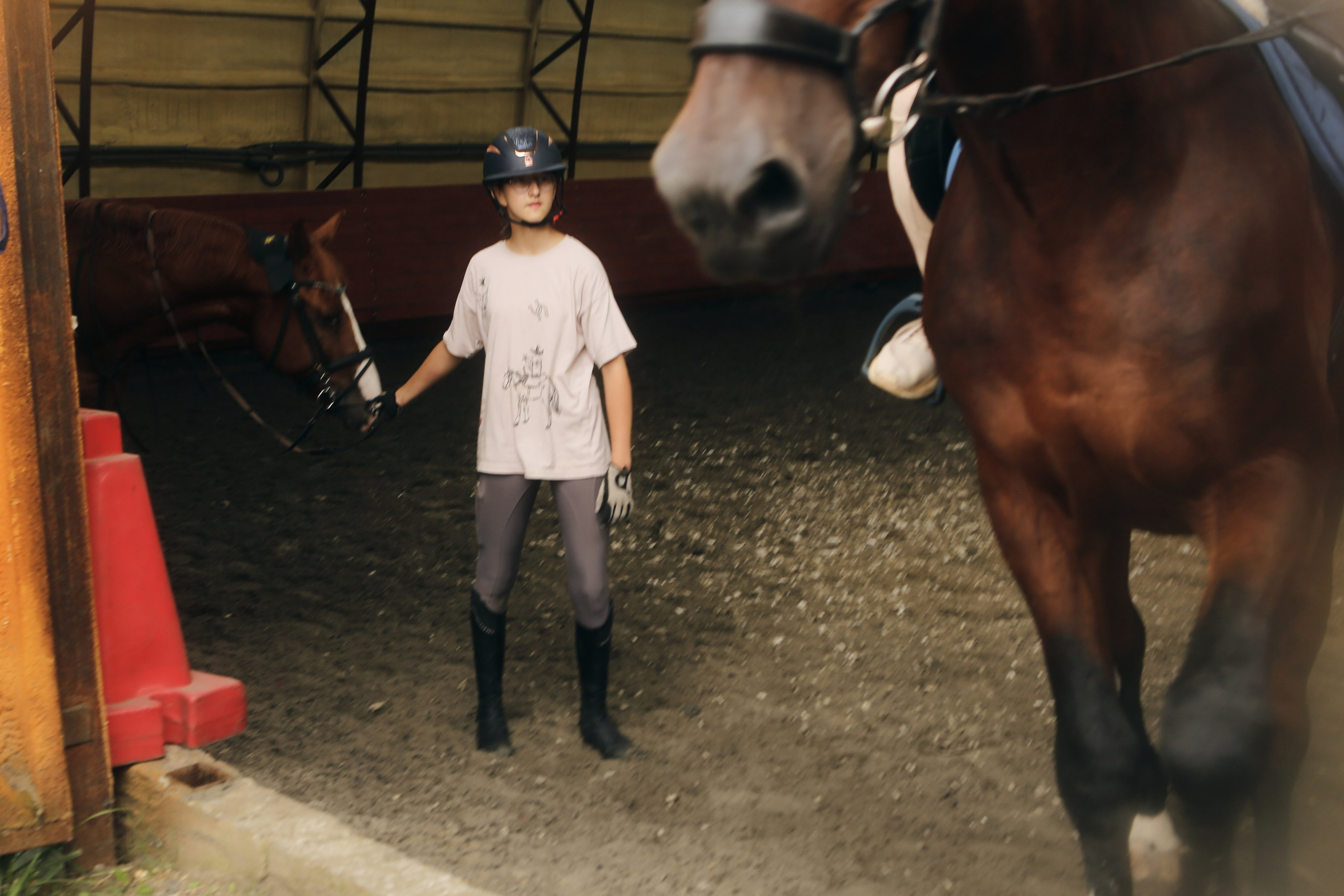 In a horse club NIMB. Фотограф Антонина Гудкова