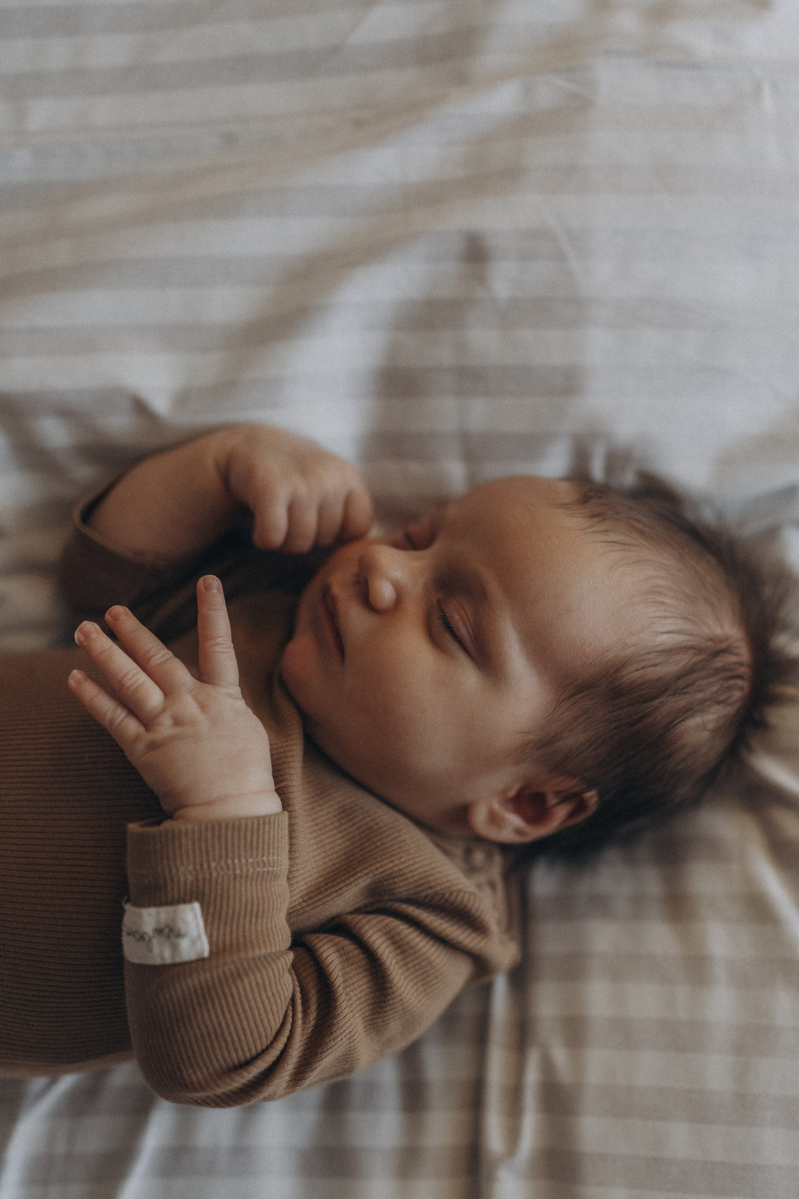 Вероника, Дмитрий и Мелисса. Семейный фотограф Земскова Евгения