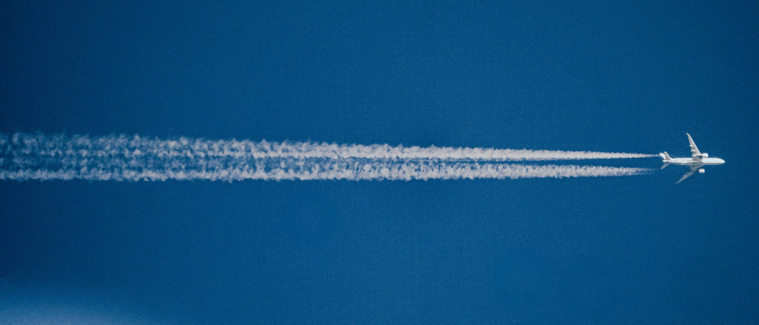 Saint Petersburg. The Andris