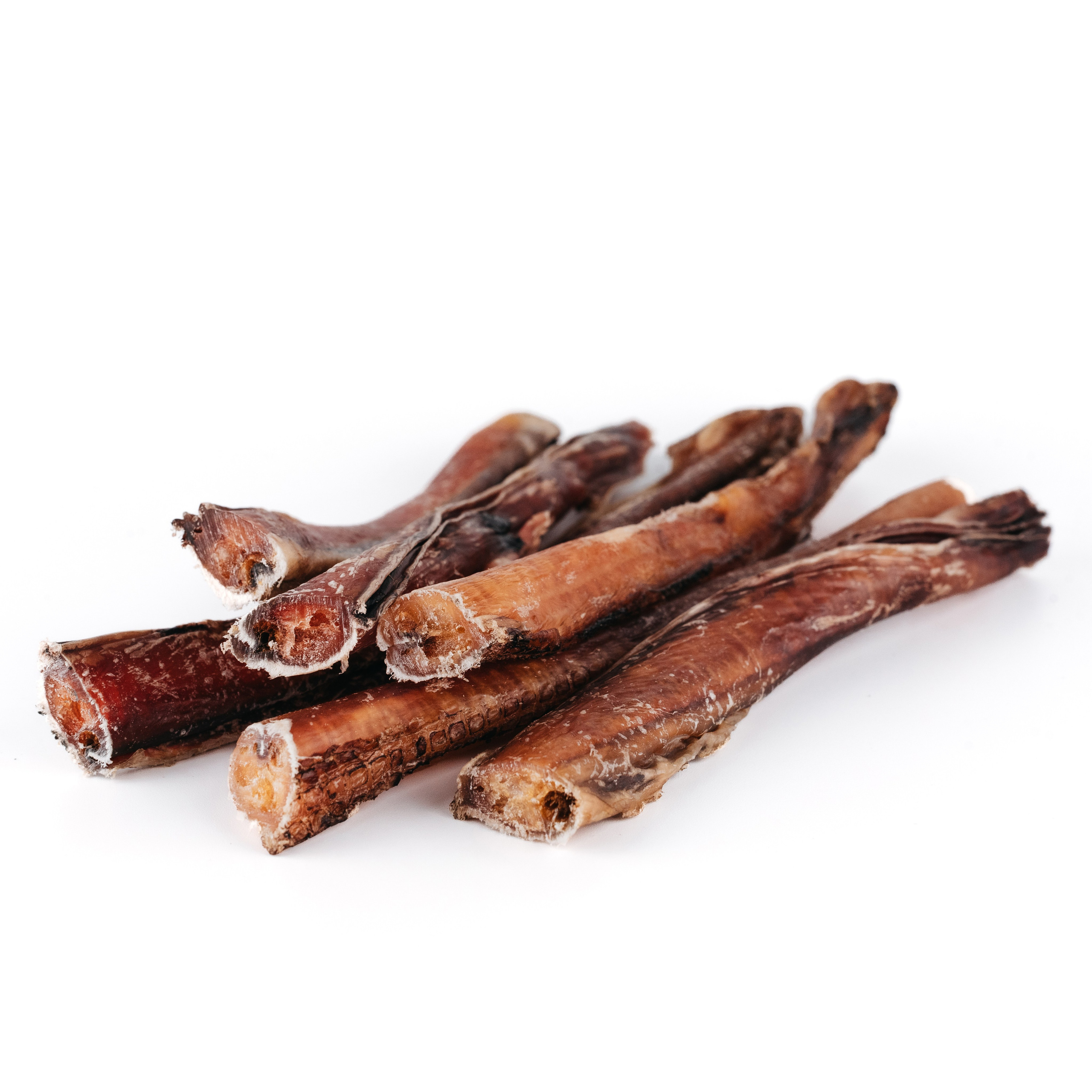 Dog Bone лакомства. Фотограф-анималист Валерия, Москва, Мытищи