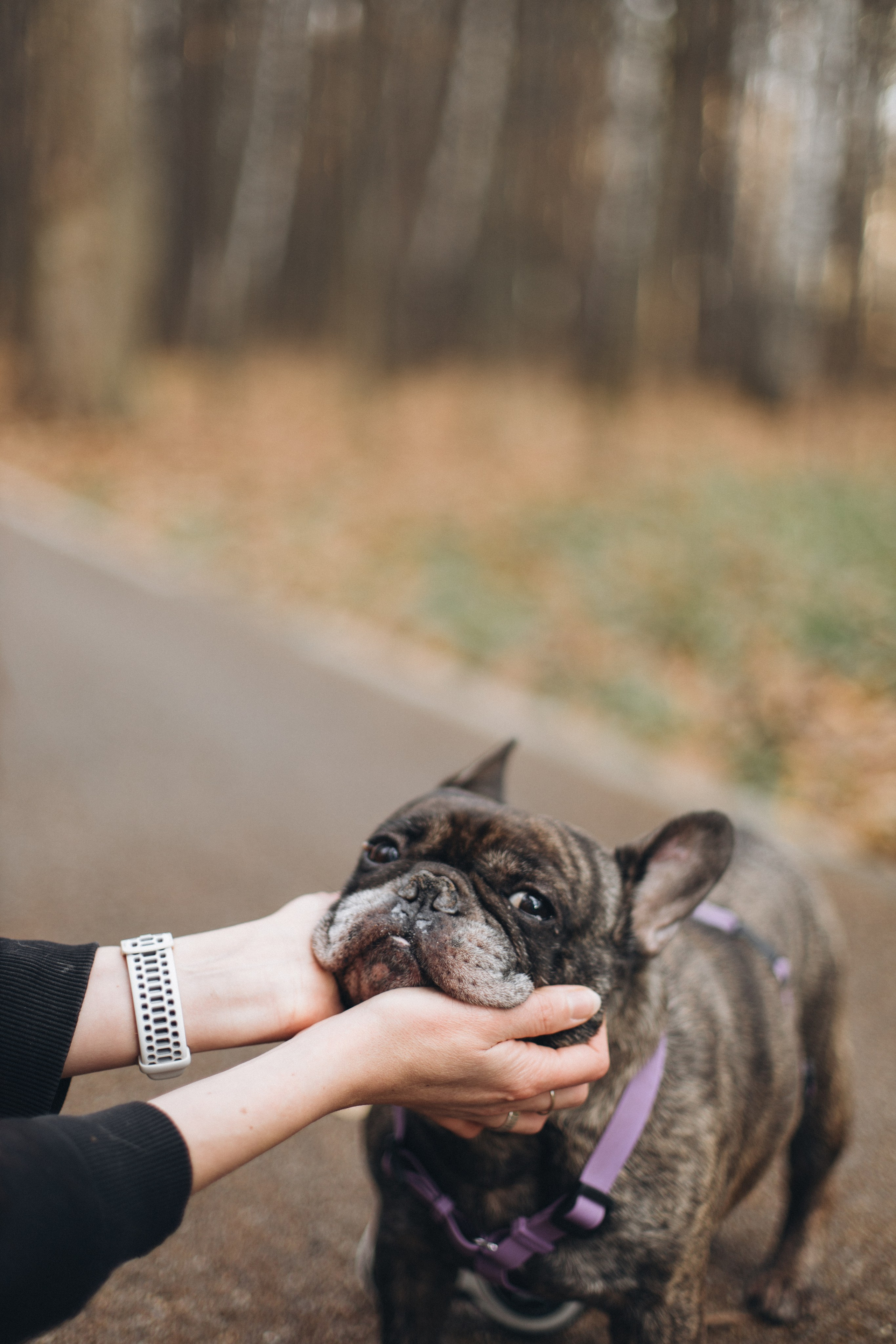 Ирина и Жора. Фотограф / Свадебный фотограф МОСКВА, КОММУНАРКА, КОВРОВ