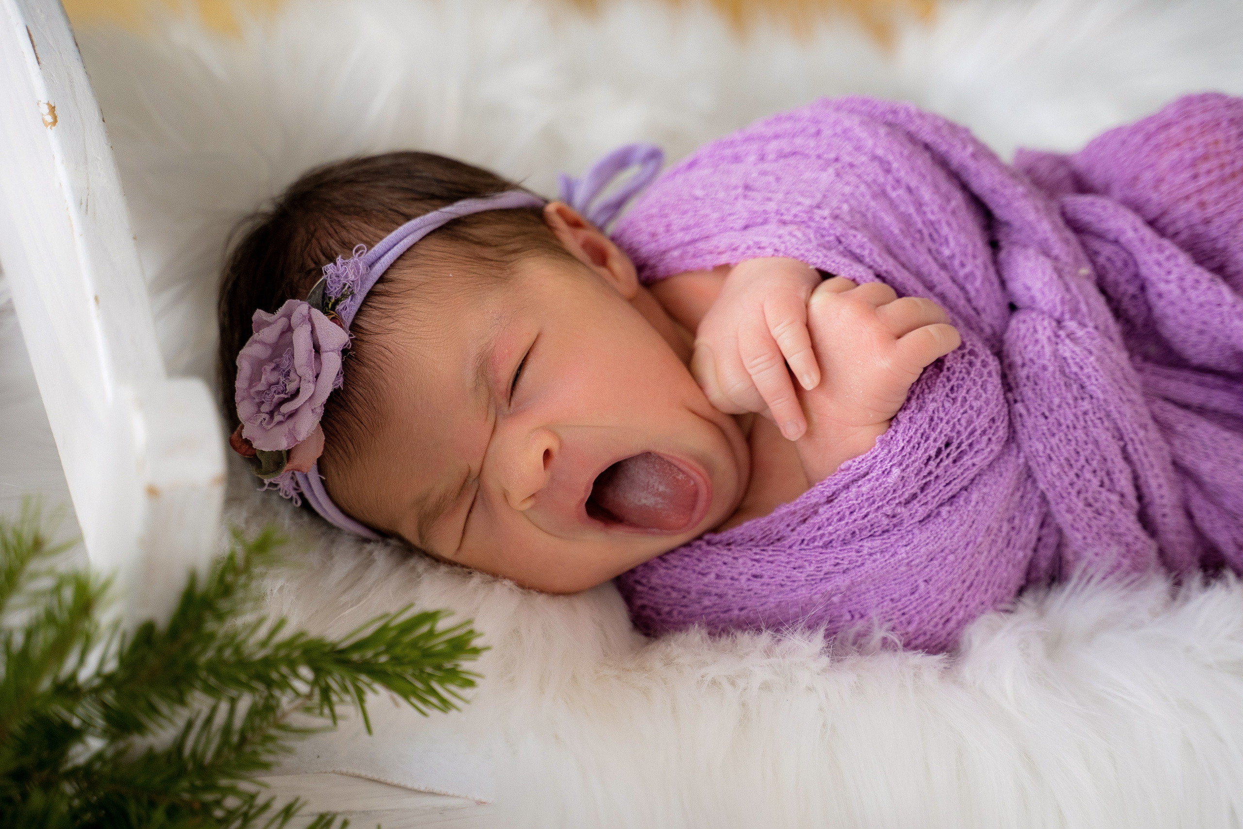 Ньюборн люкс. Фотостудия Малина в городе Улан-Удэ. Фотограф Ирина Жарникова