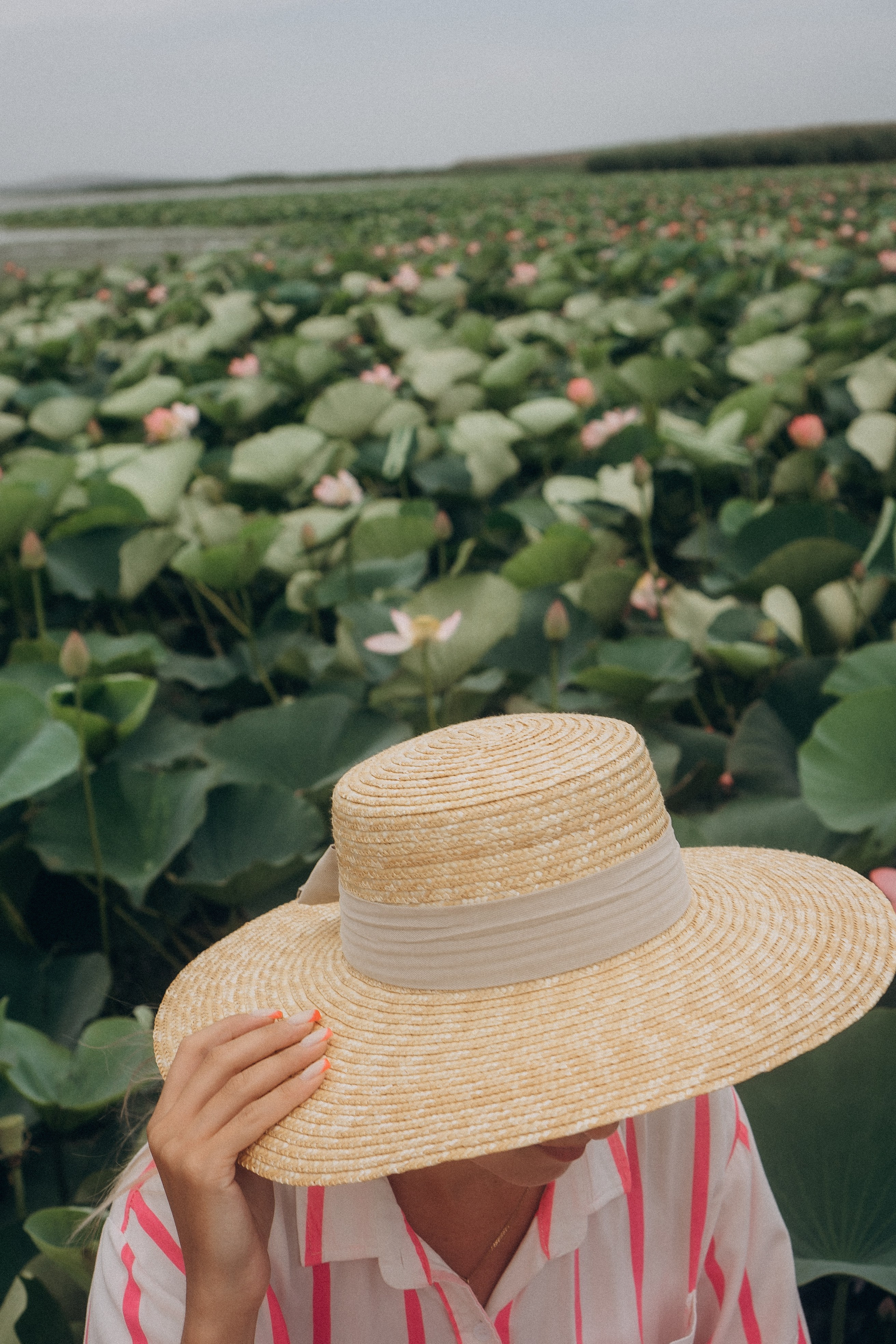 ЛОТОСОВАЯ ПОЛЯНА. Профессиональный фотограф, Санкт-Петербург — Виктория Богомолова