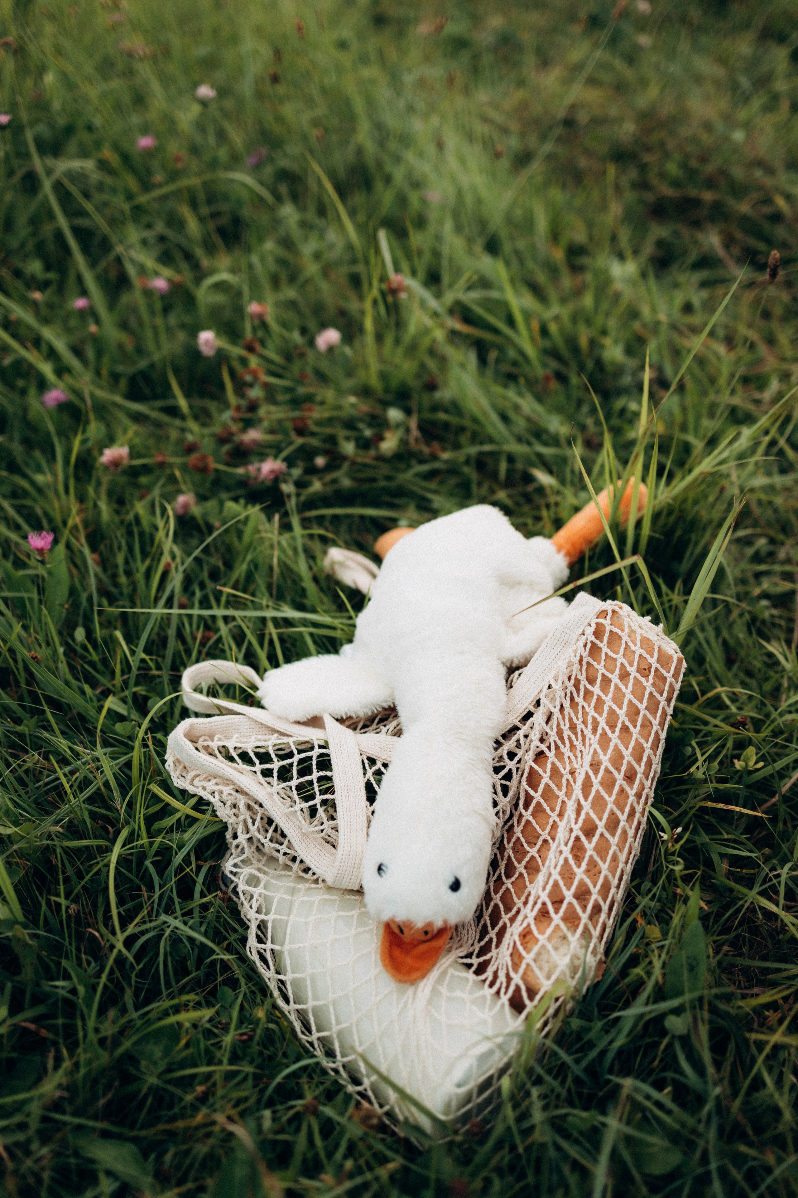 Катя и малышка Аня. Фотограф Елена Рябцева