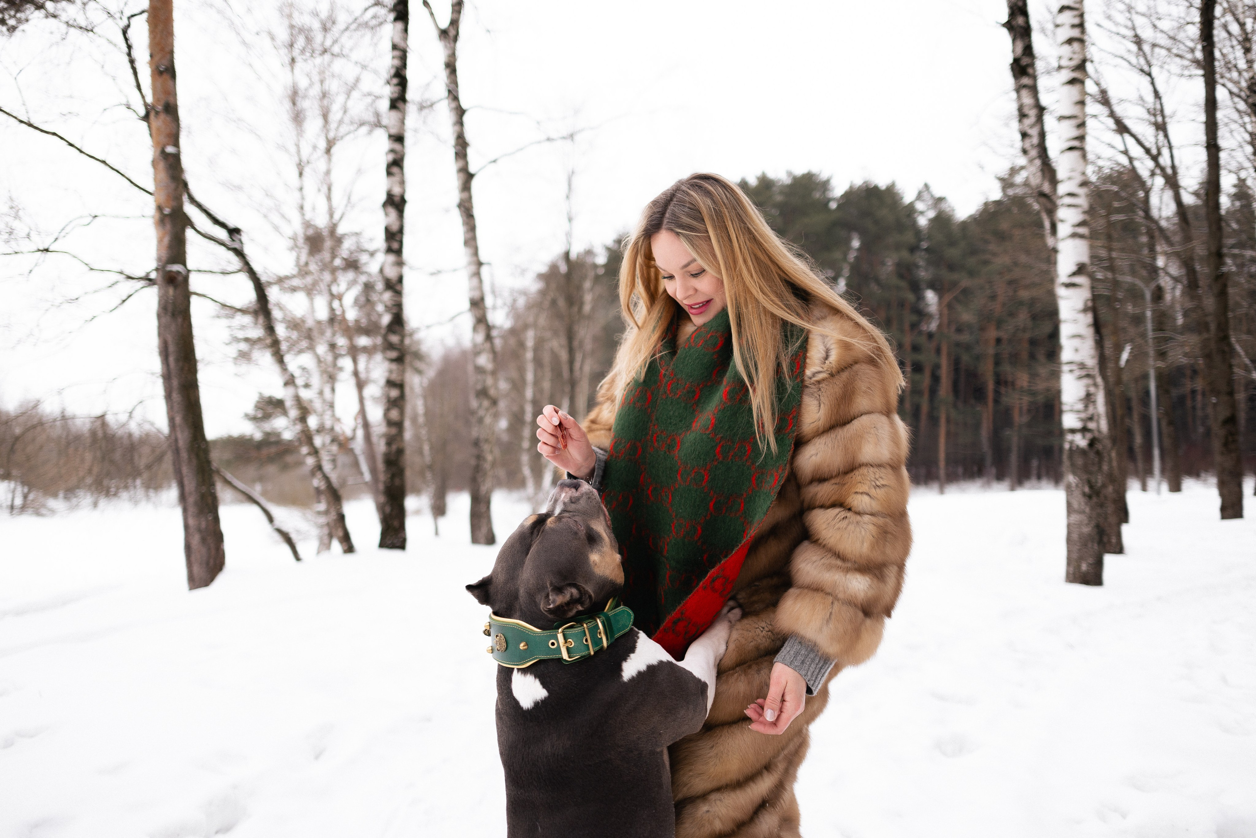Лера и Наган. Фотограф и видеограф анималист Аганина Дарья
