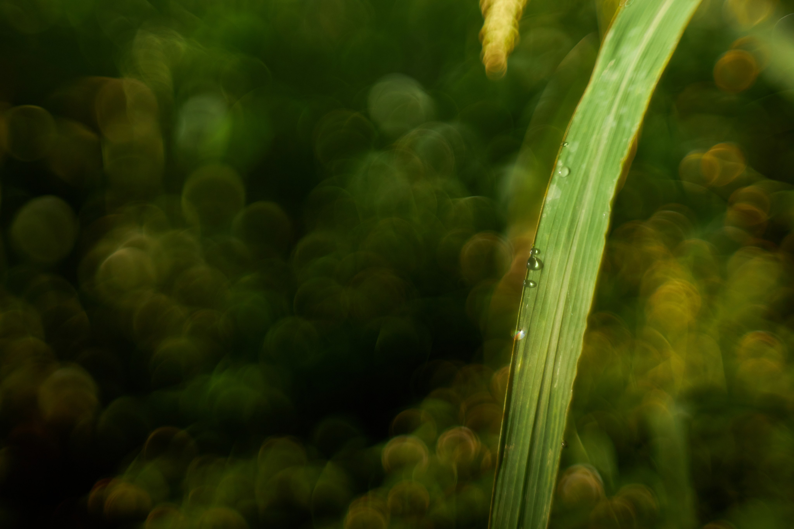 Арт-фотограф во Владивостоке Дмитрий Осипчук