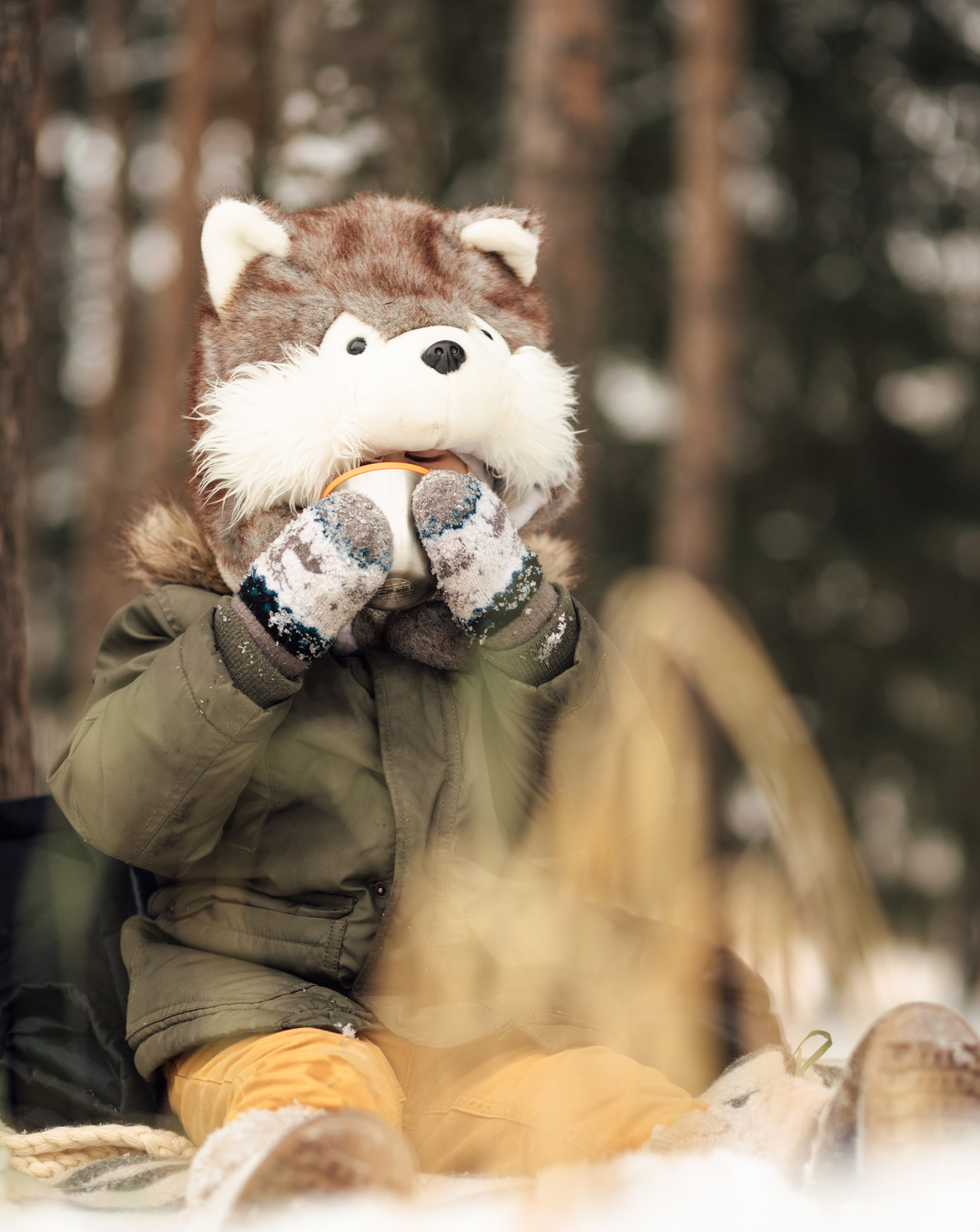 Юля, Дима и Лев. Семейный Фотограф в Санкт-Петербурге Пушкин Анастасия Дьяконенкова
