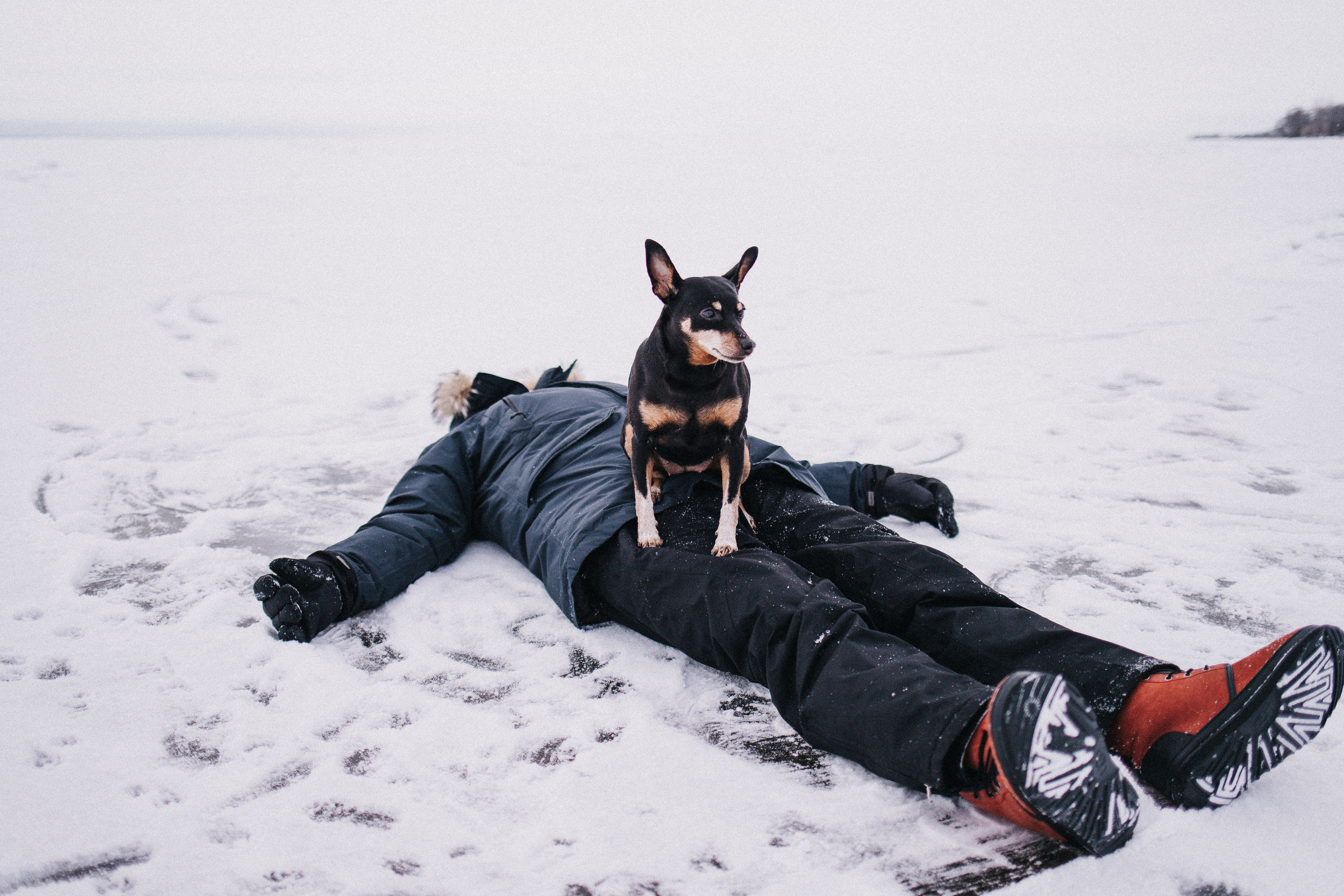 Зимняя фотосессия. Семейный Фотограф в Санкт-Петербурге Пушкин Анастасия Дьяконенкова