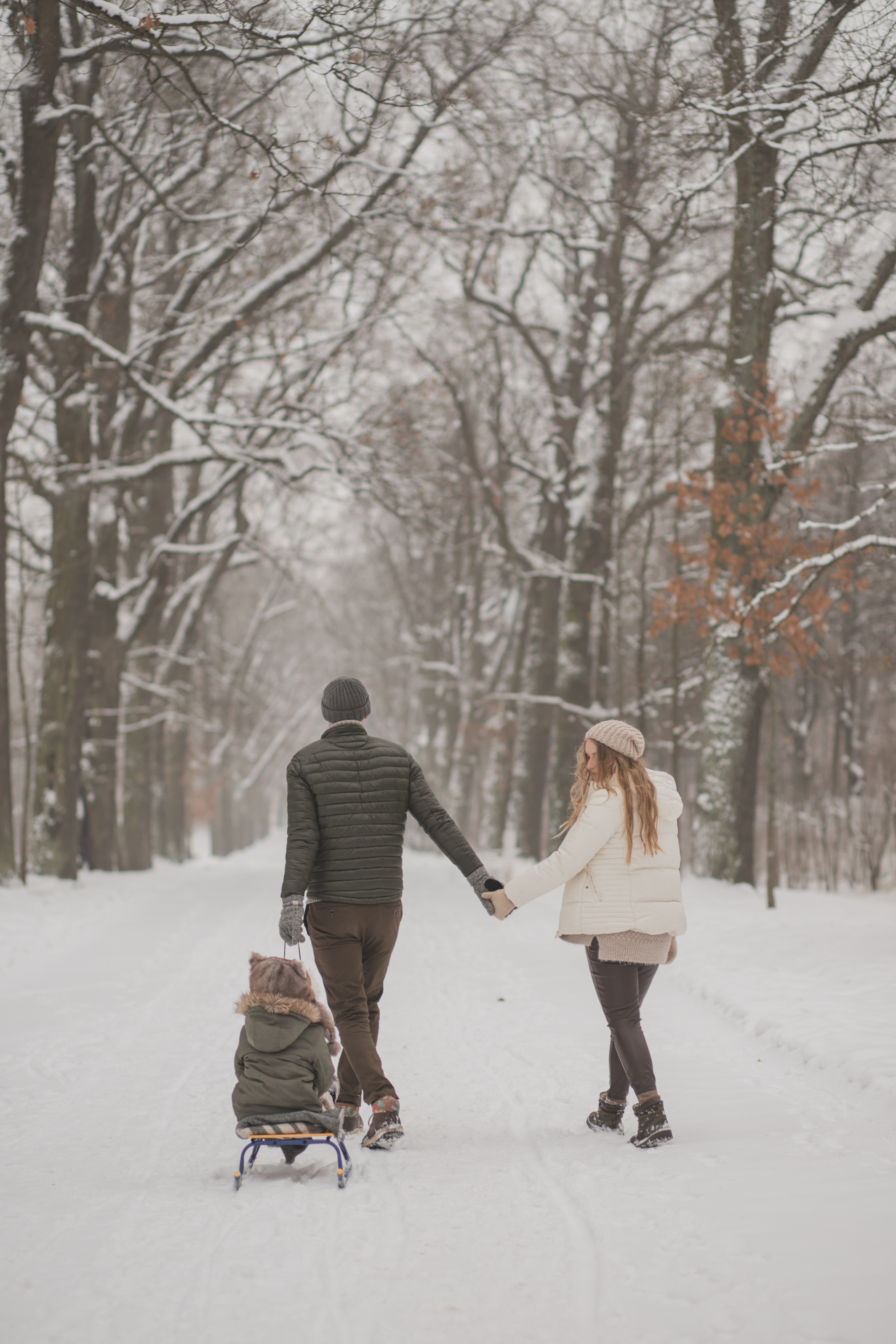 Юля, Дима и Лев. Семейный Фотограф в Санкт-Петербурге Пушкин Анастасия Дьяконенкова