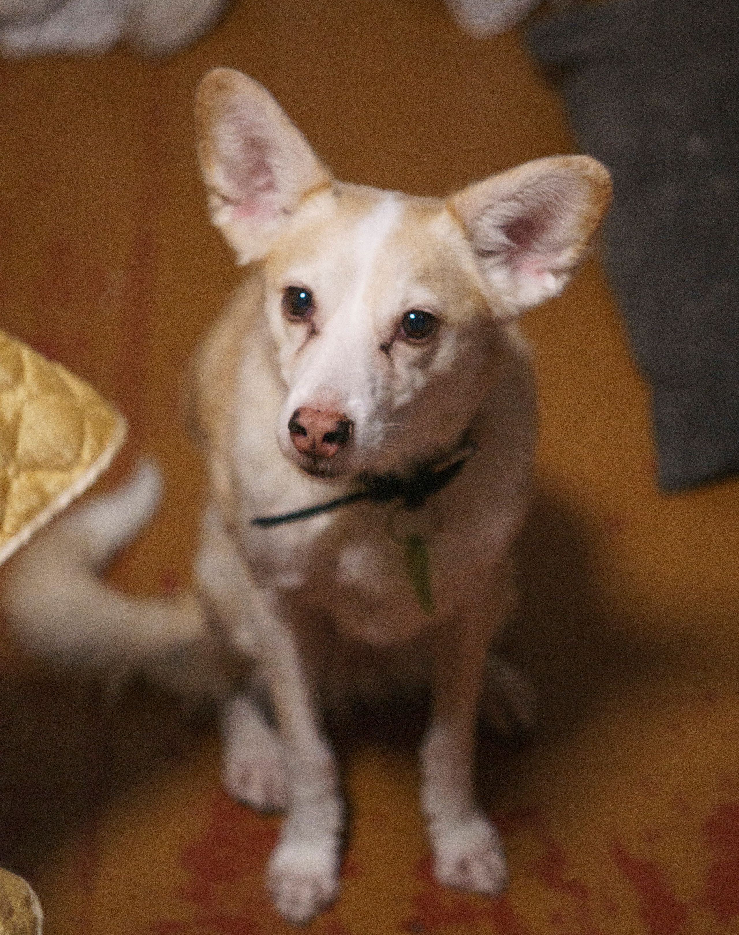 Соня. Фотограф в Кстово и Нижнем Новгороде KOLOSOK