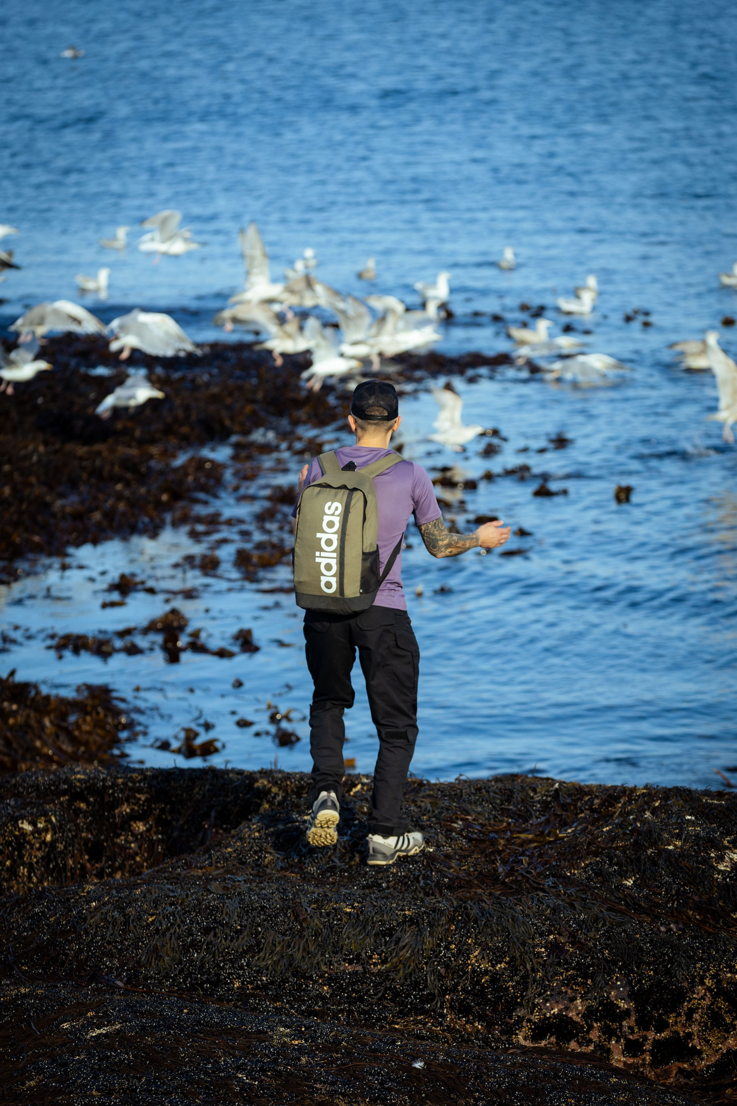 Кольский (осень 2025). Фотограф Виноградов Константин