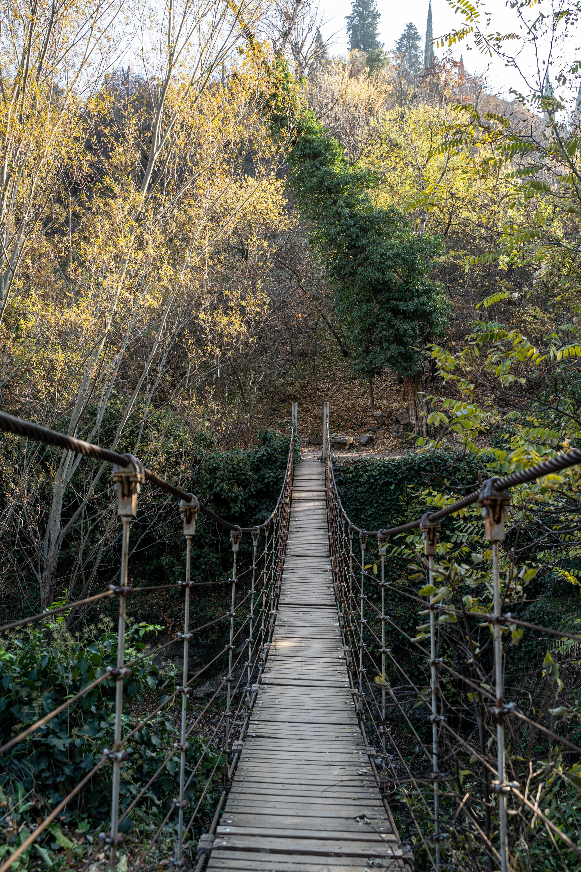 Фотокартины. Семейный фотограф Ирина Ильиных-Вольная в Москве и не только