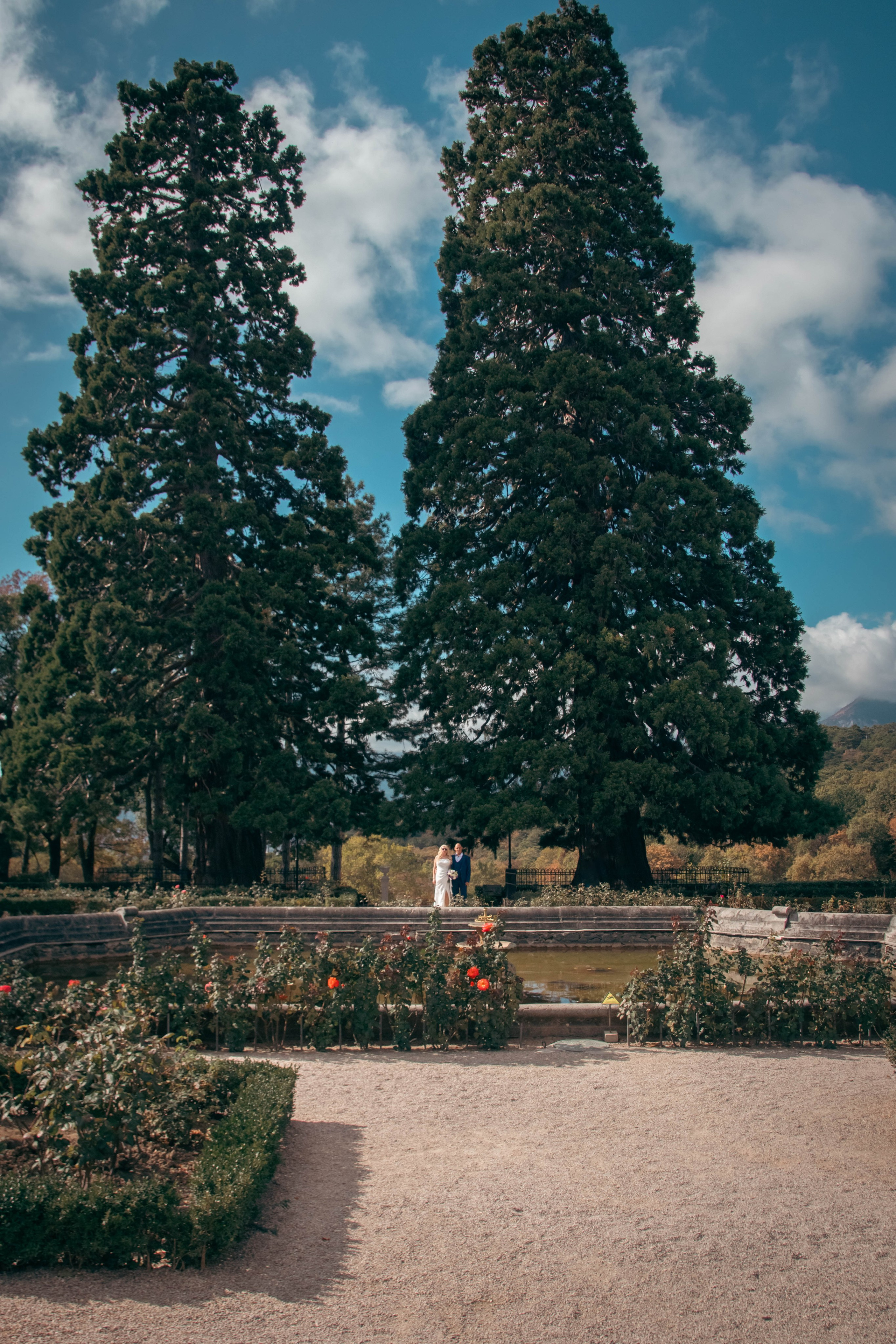 Михаил и Наталья массандровский дворец. Фотограф и видеограф в Крыму и Севастополе