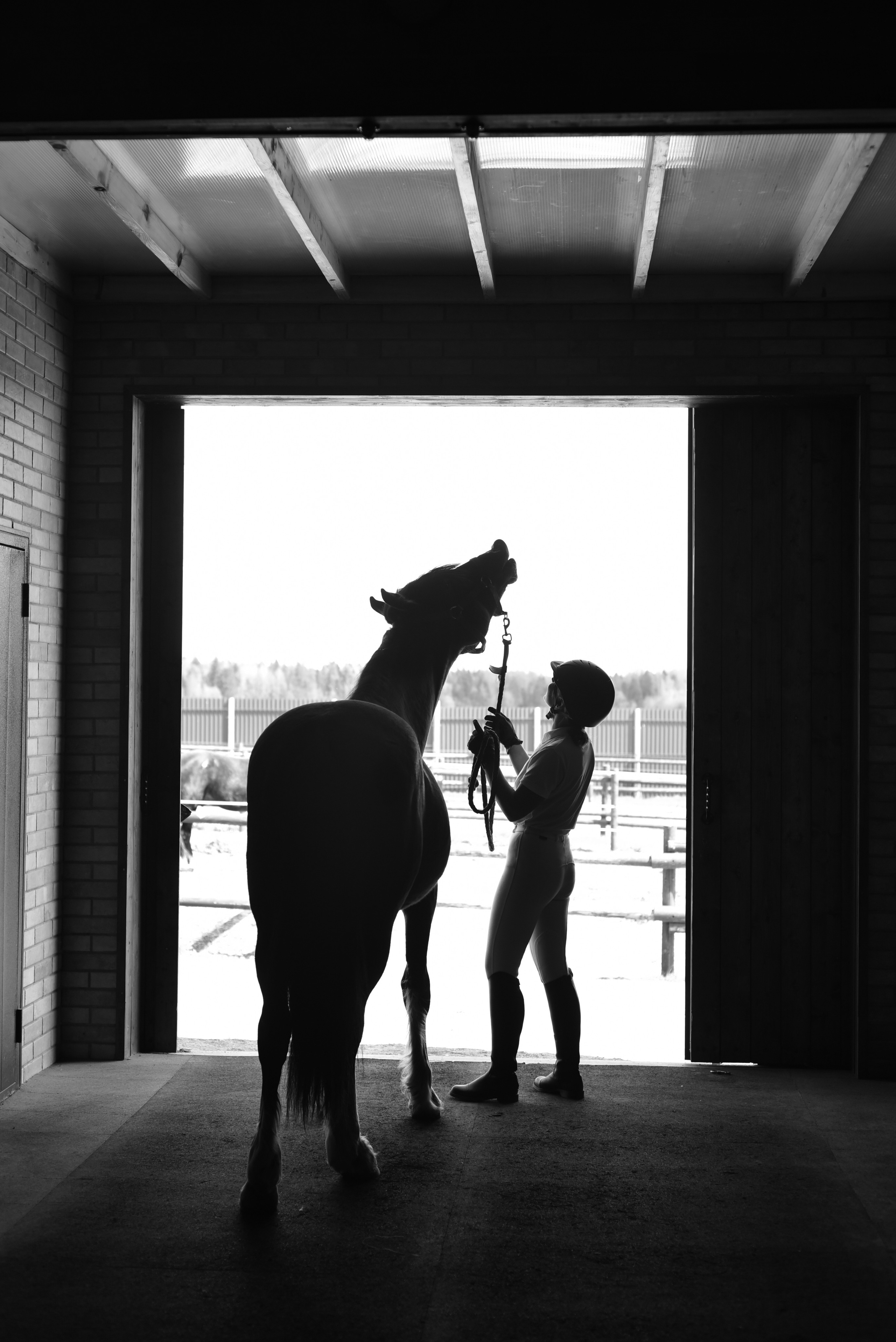 СПОРТ. Фотограф Александра Рогожкина