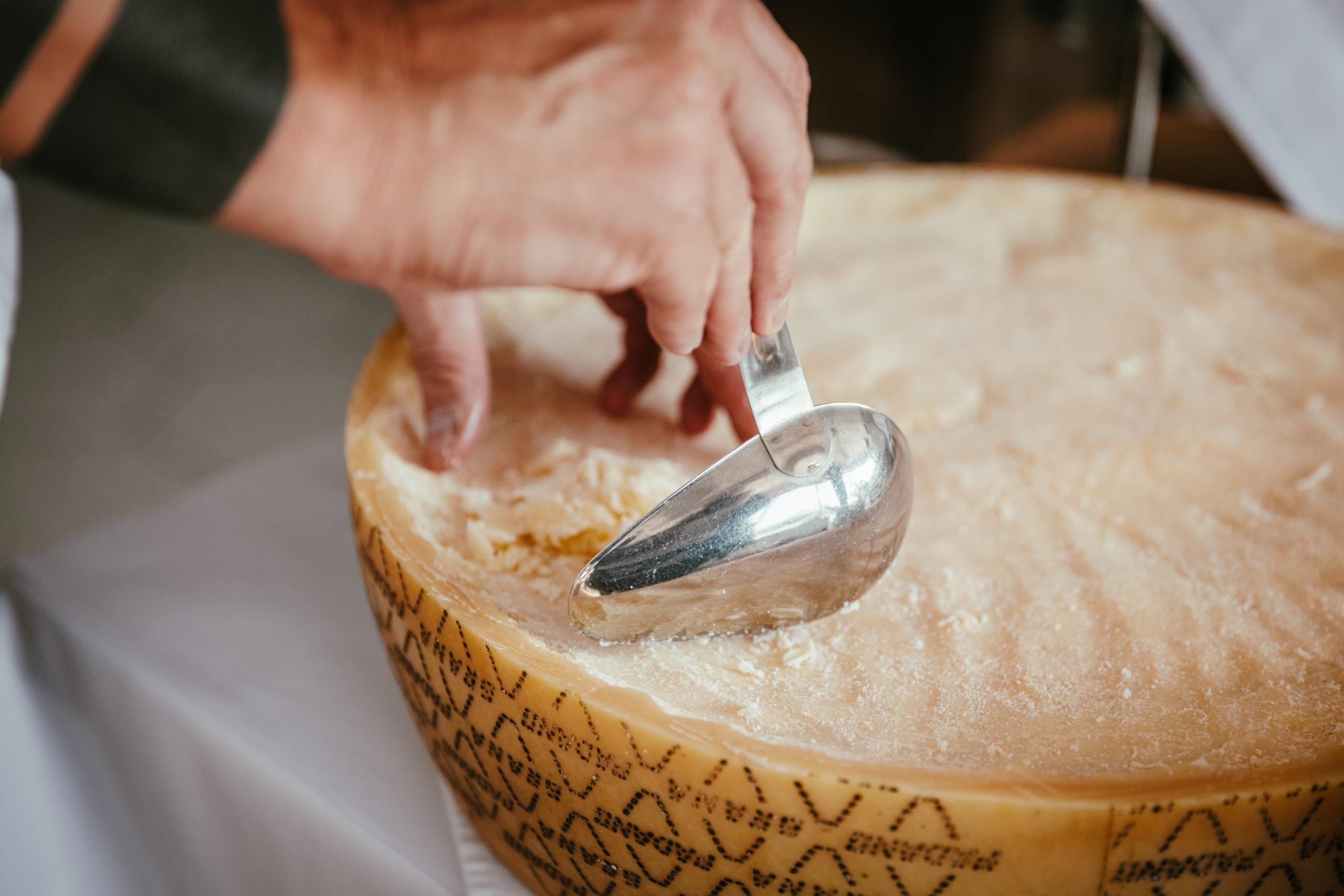 Gallo D'oro — открытие ресторана. Главная