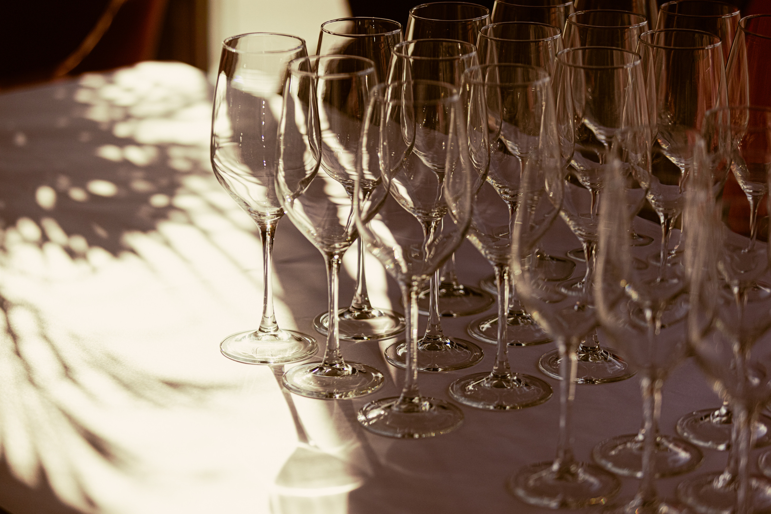 Gallo D'oro — открытие ресторана. Главная