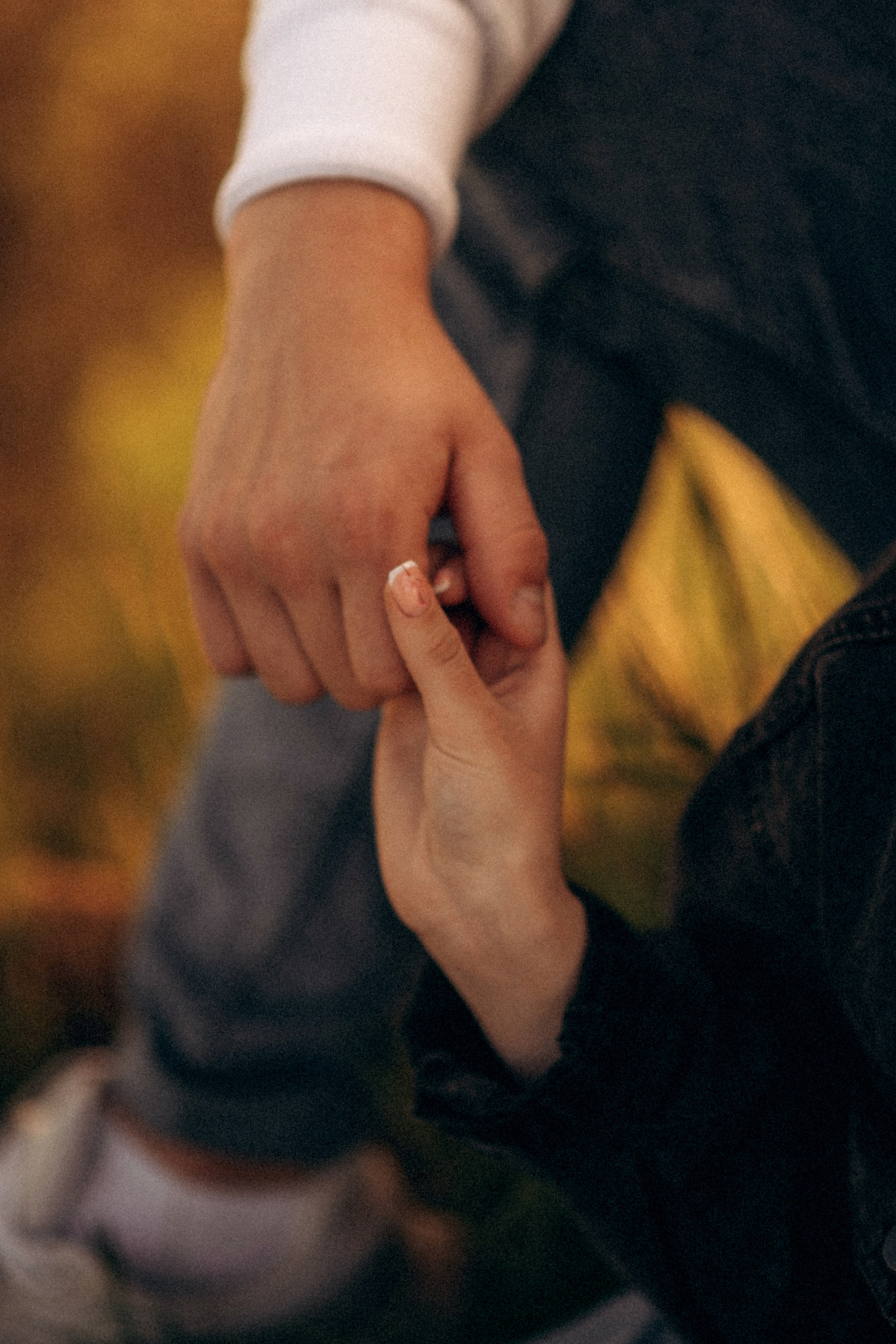 Александра и Дмитрий. Фотограф Юлия Стрыгина