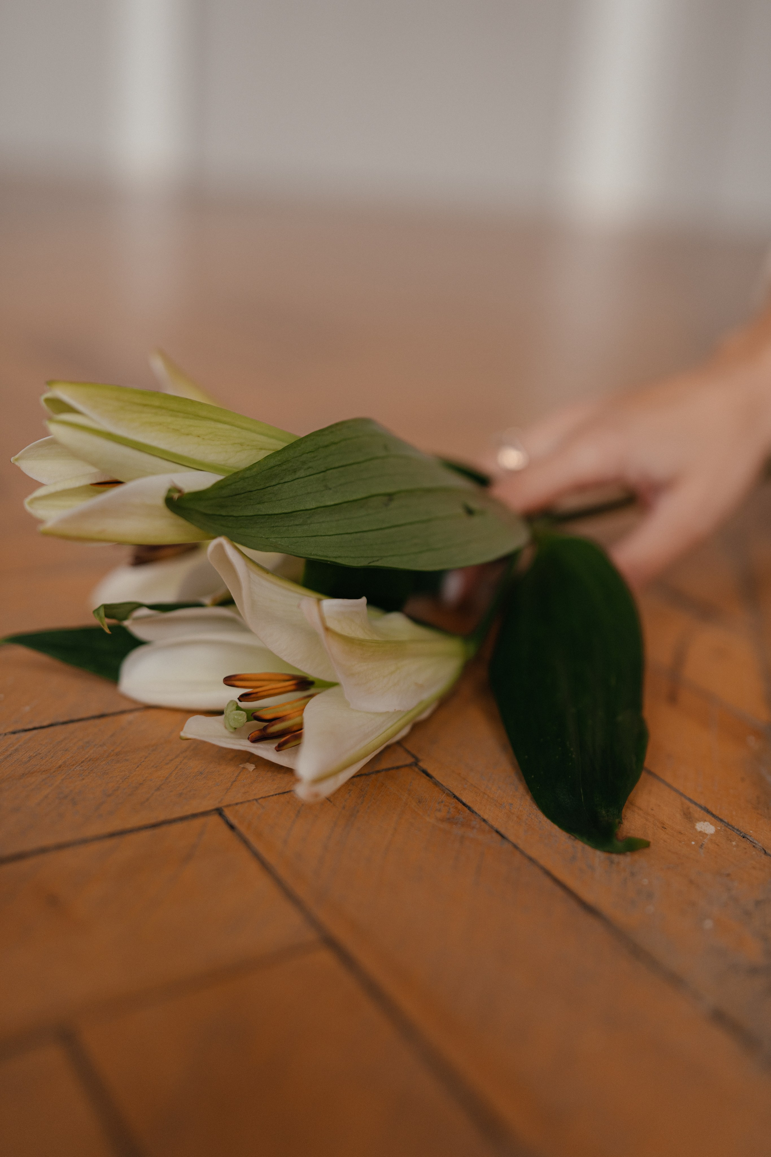 Юля. Фотограф Юлия Стрыгина