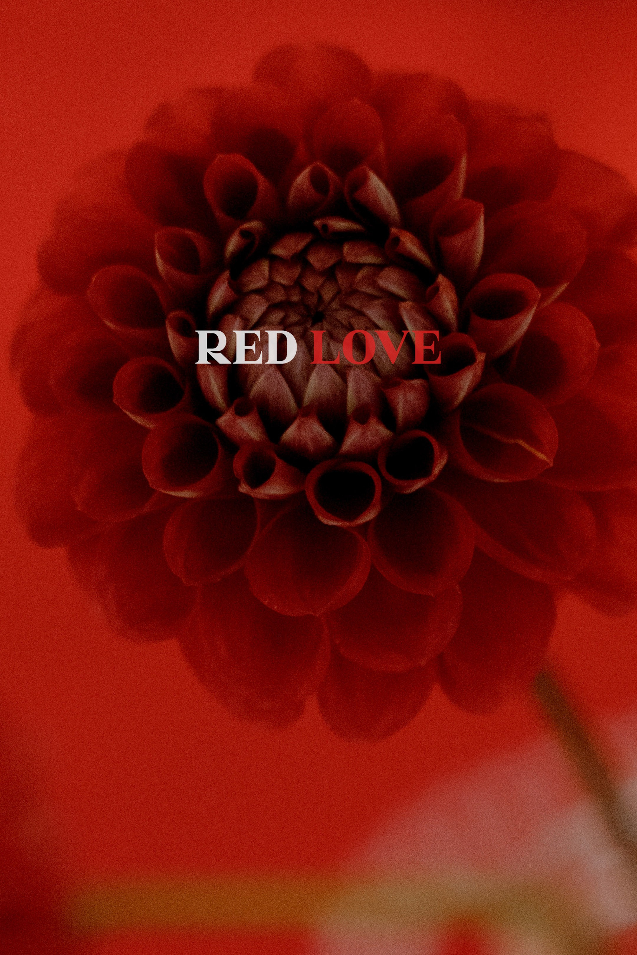 Ксения & Артём. Yura Rush Свадебный фотограф Тюмень