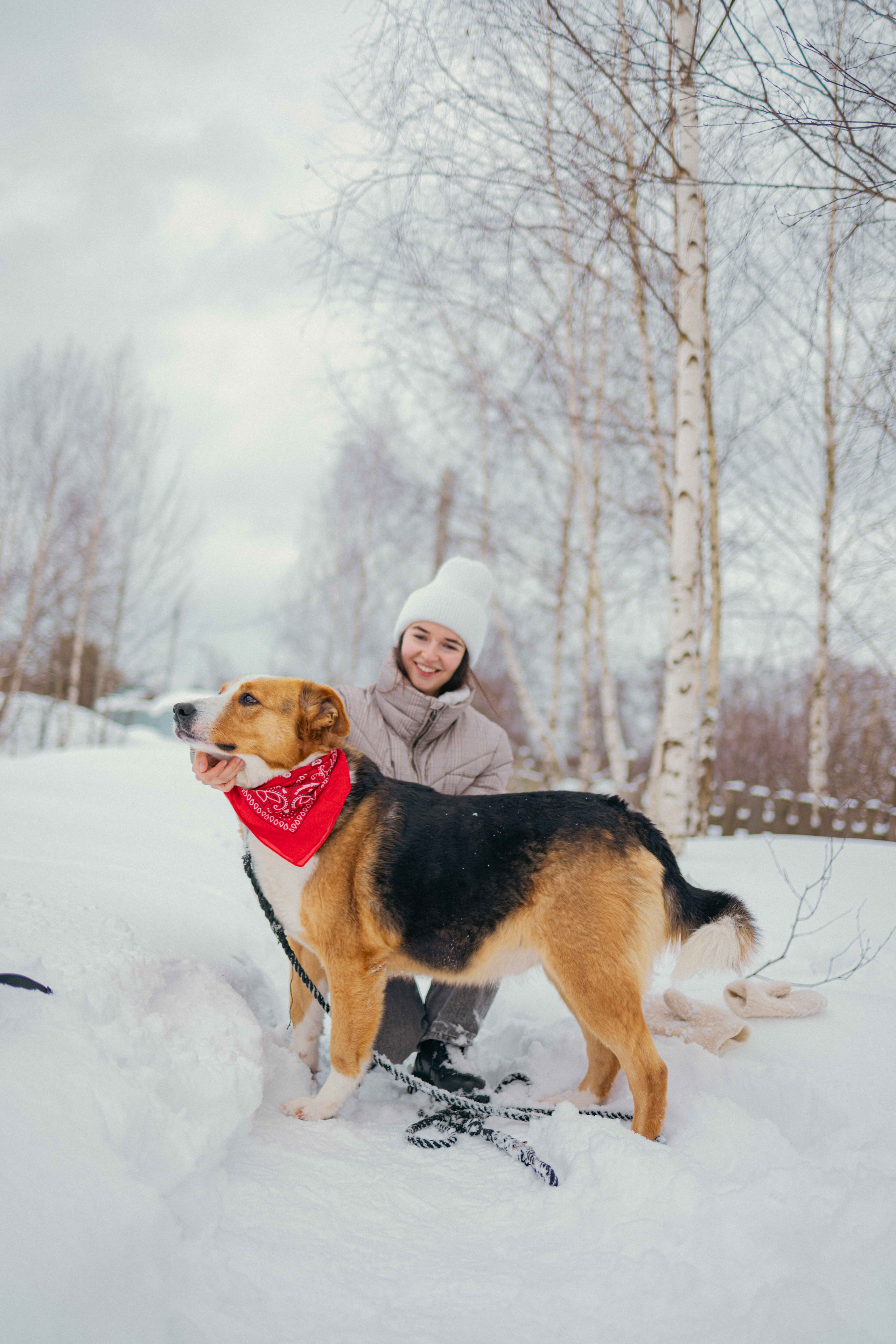Петя. Фотограф-анималист в Москве Лера Черноног
