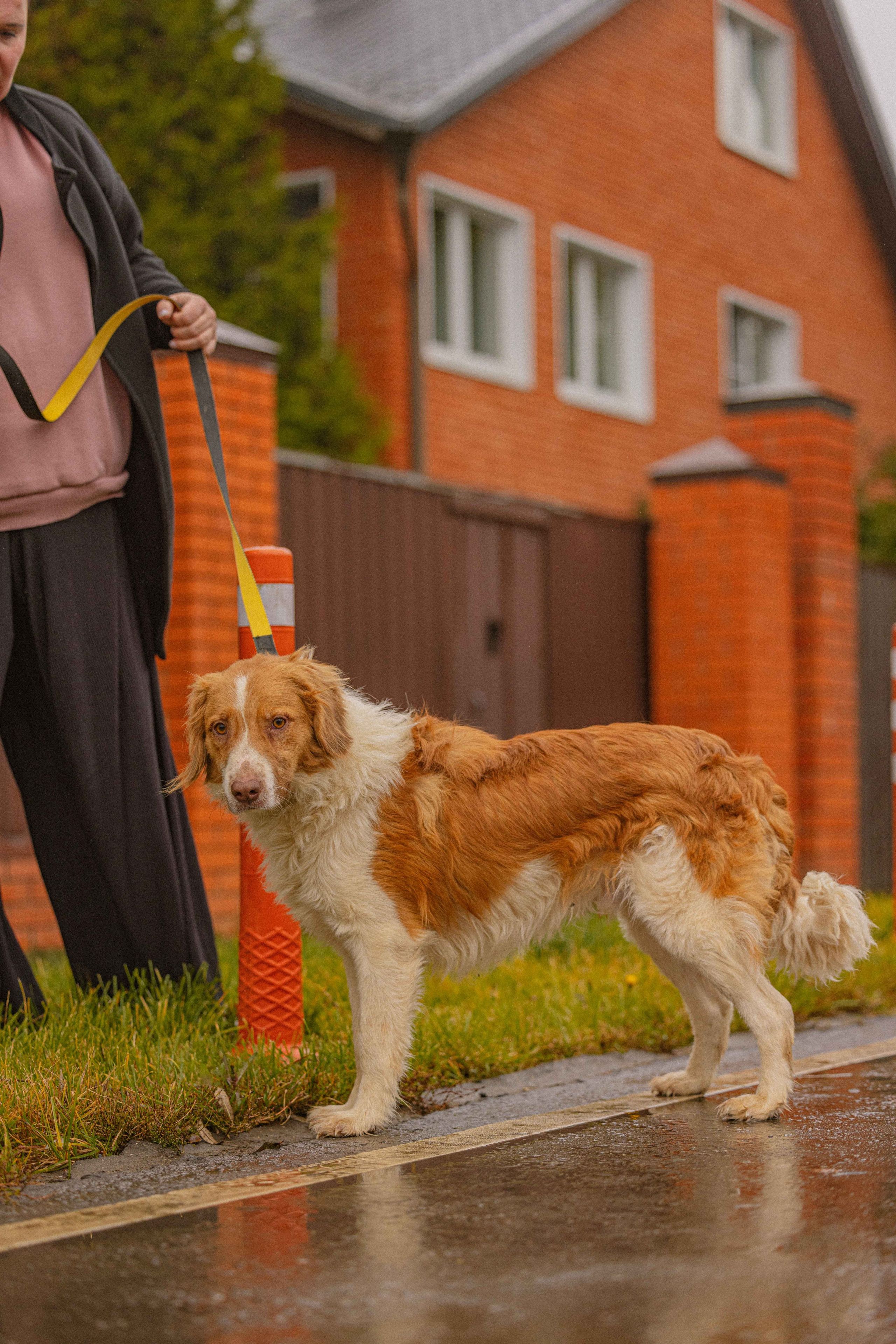 Передержка. Фотограф-анималист в Москве Лера Черноног