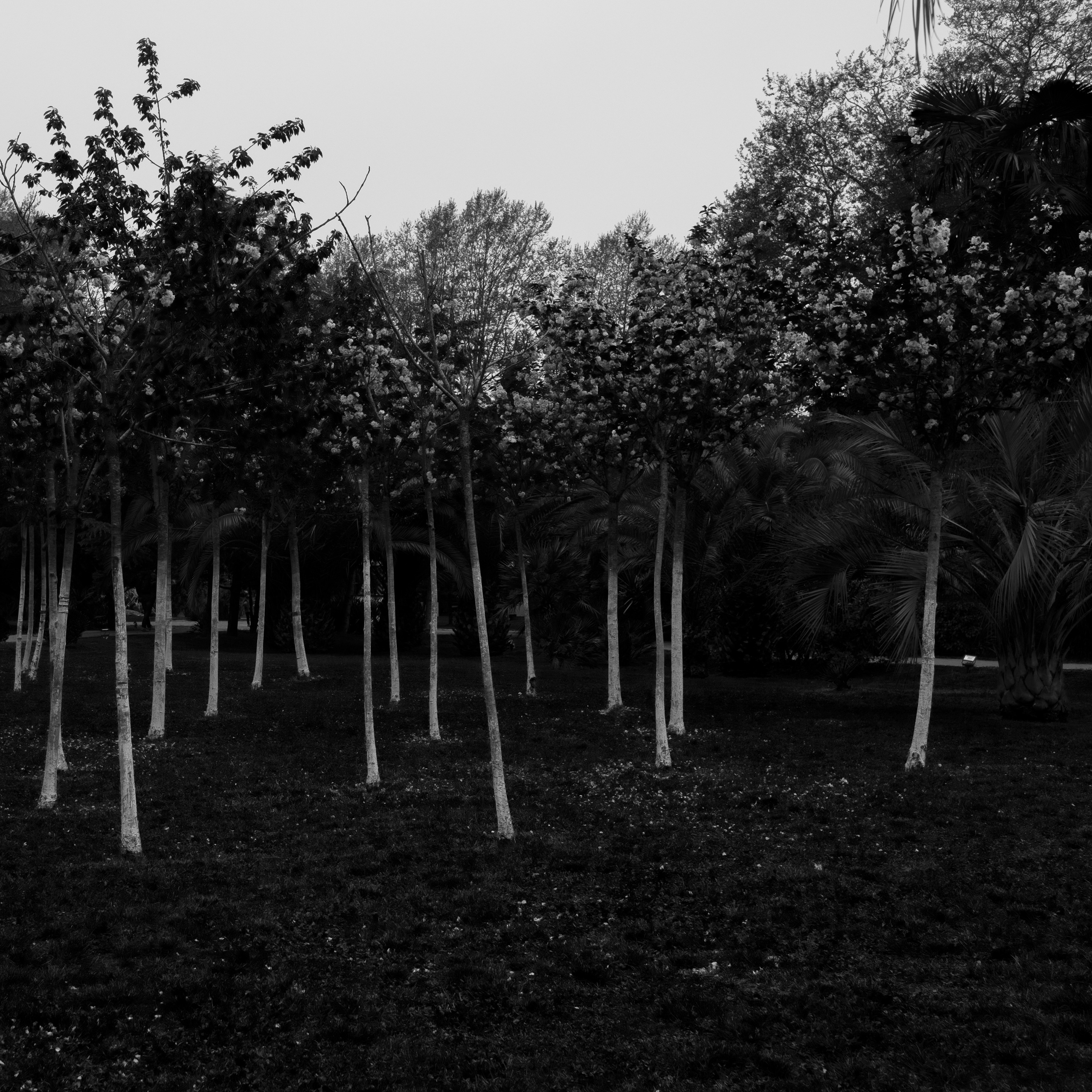 Сочи, 2022. Портретный фотограф в Москве Евгения Яковенко