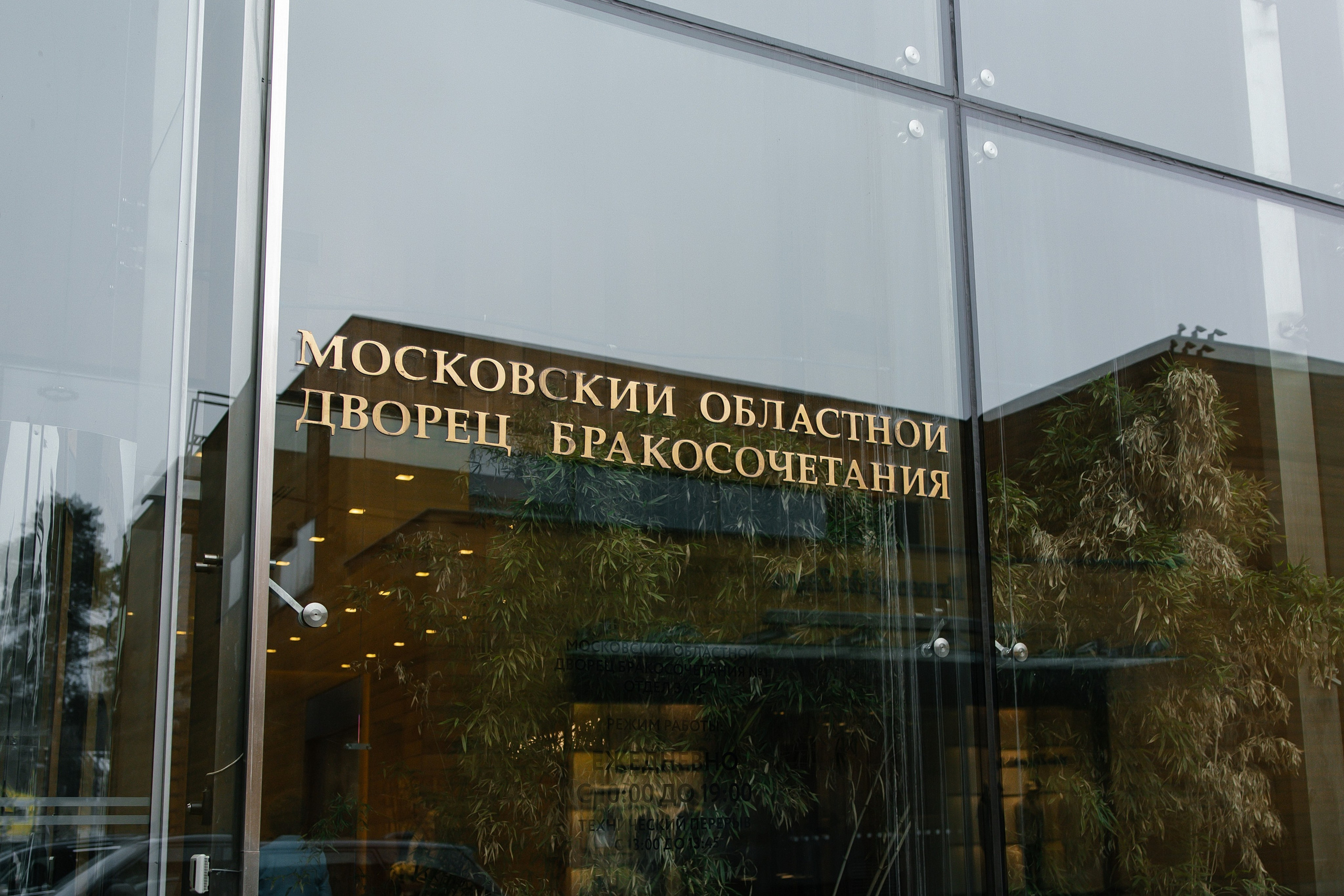 Кирилл и Полина. Свадебный фотограф в Калининграде Ольга Пасечник