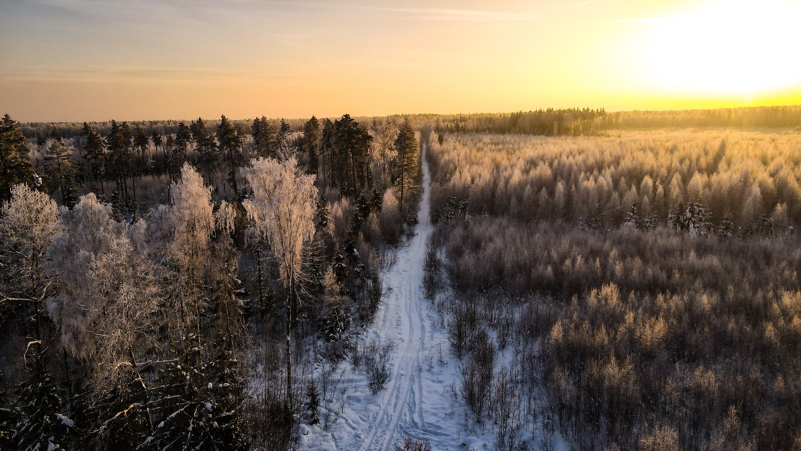 Drone. Фотограф Москва и Область