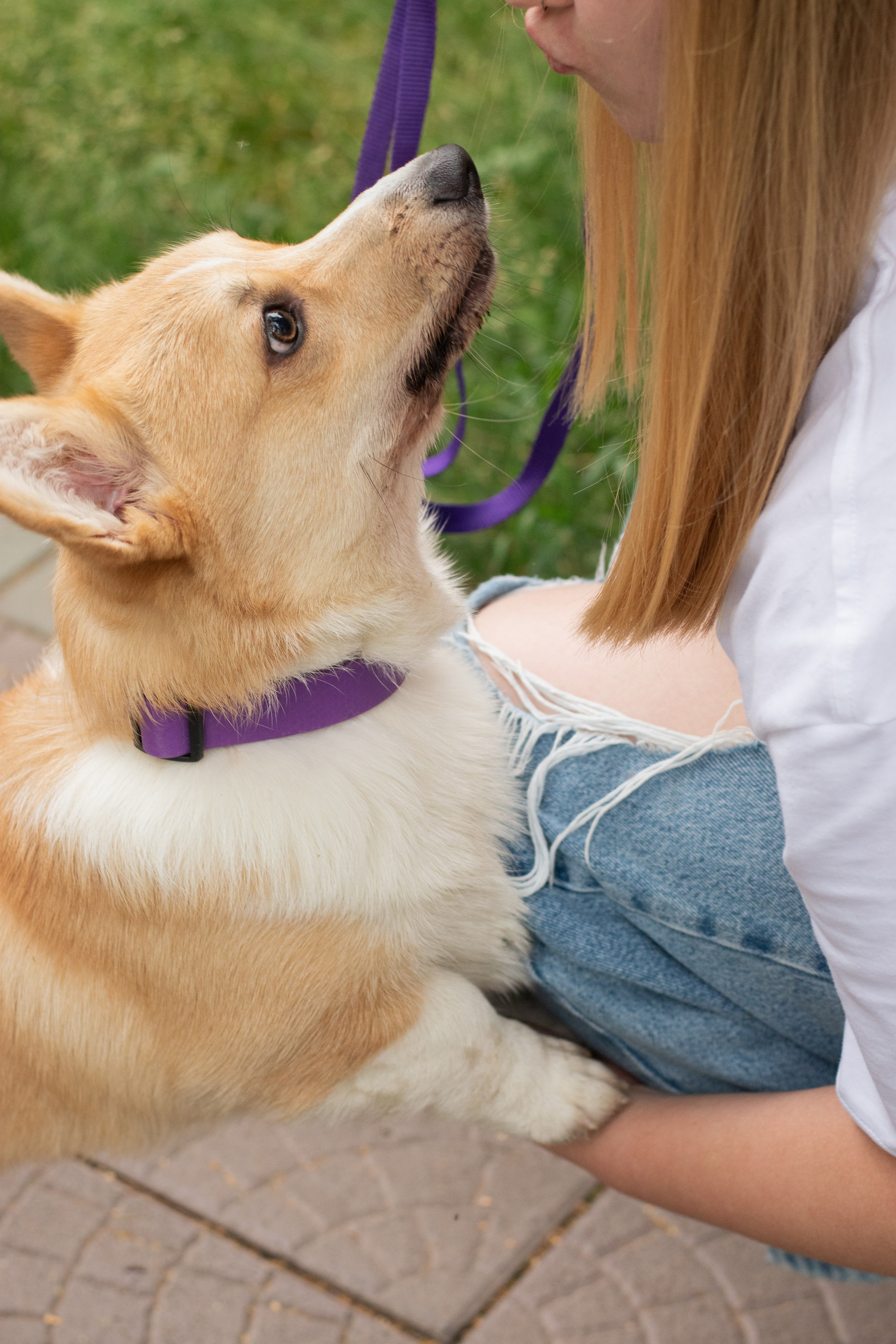 Фотосессия с домашними животными. Фотограф в Новосибирске Фальман Полина