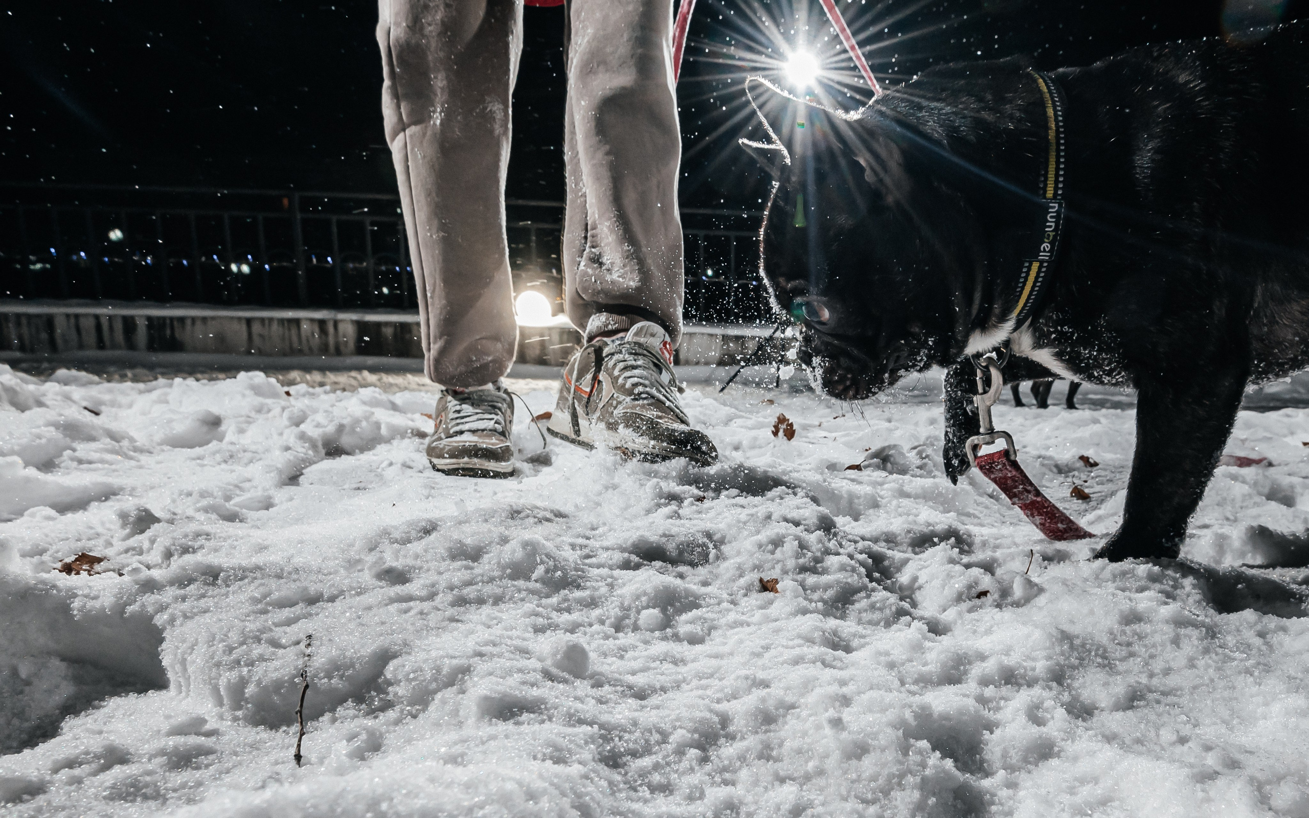 Фотограф в Благовещенске Андрей Сенченко