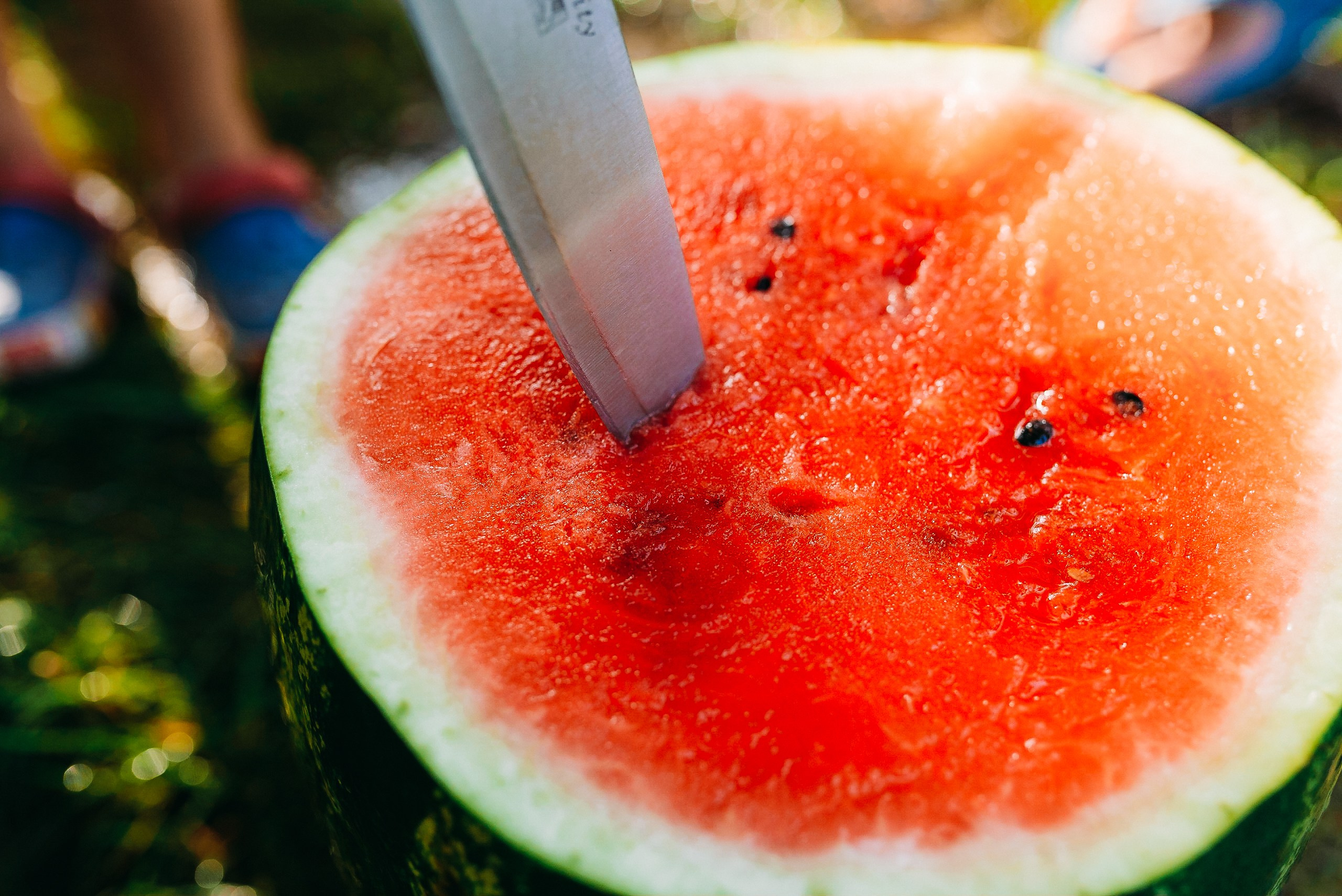Дачная история. Свадебный и семейный фотограф в Минске Филиппович Александр