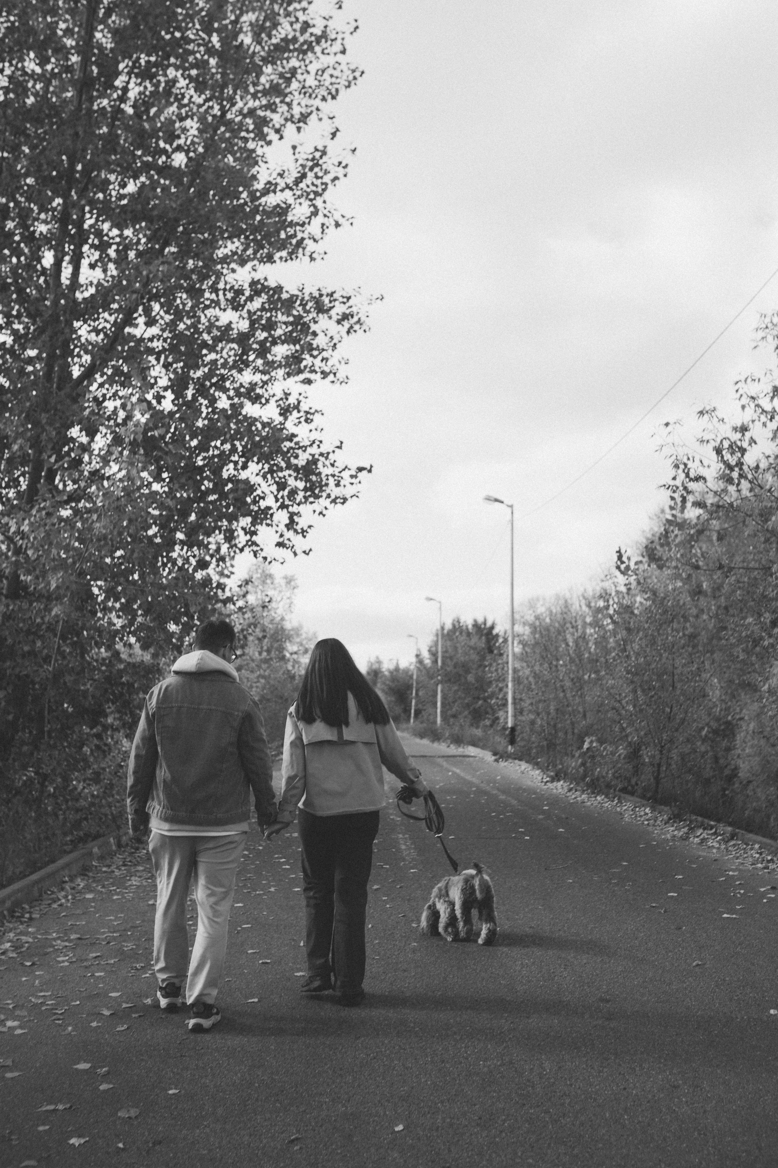 Саша Леся и Чипс. Свадебный фотограф Казань