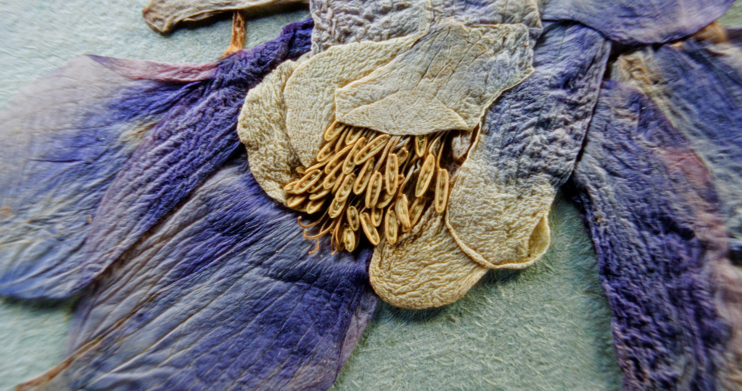 Крепче камня. Василий Буйлов|Vasilii Builov