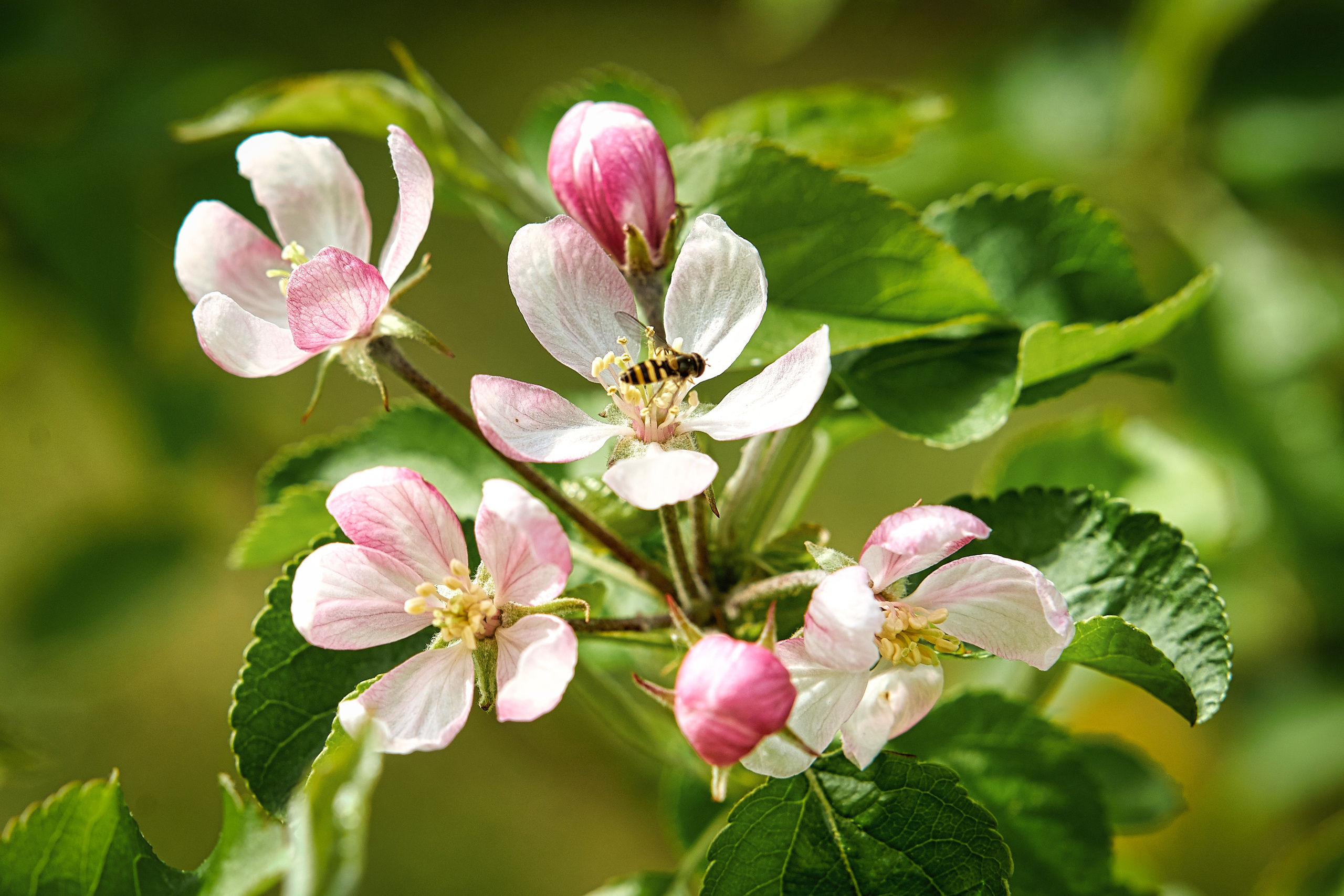 Наша мать — природа. Фотограф Владимир Артамонов