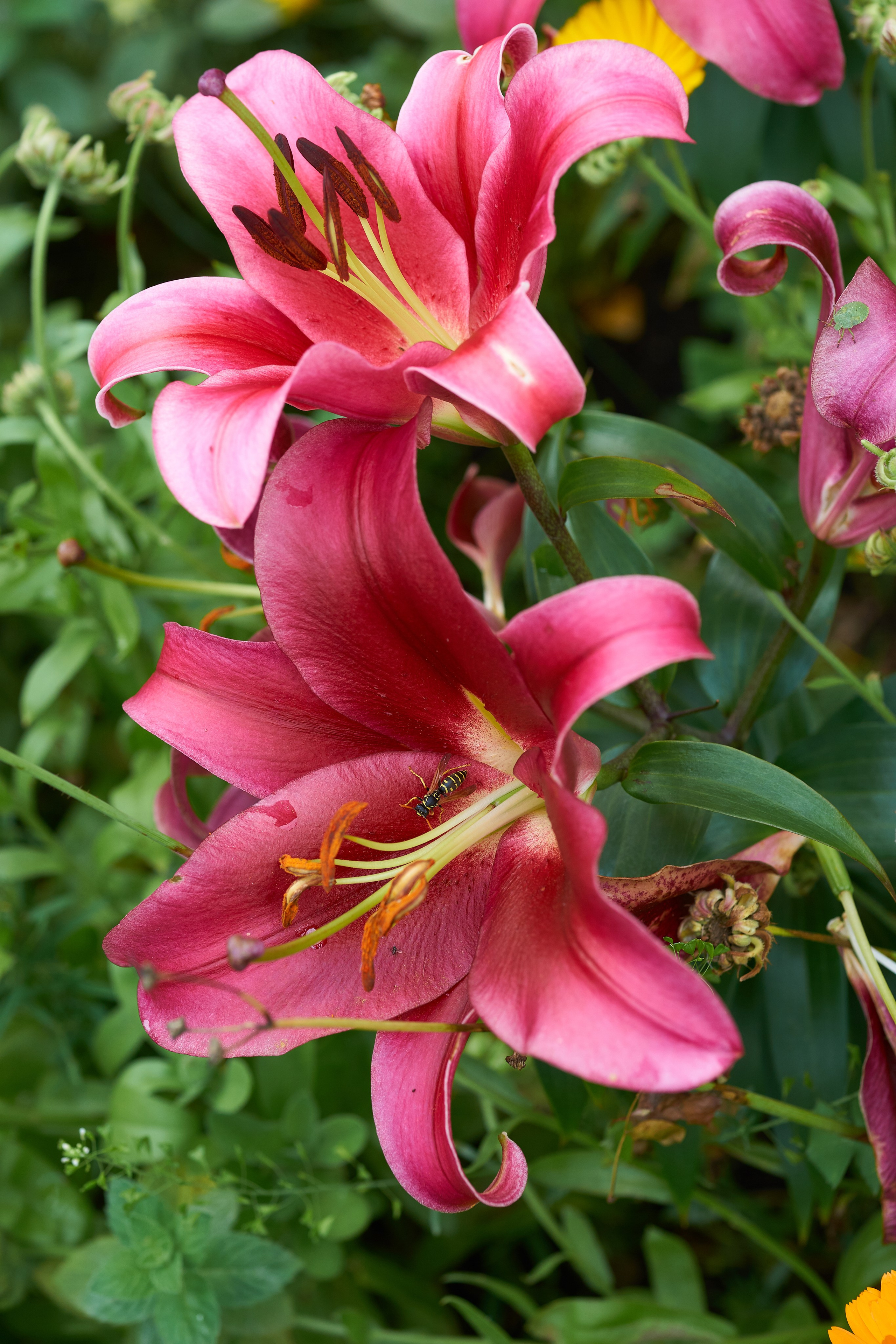 Наша мать — природа. Фотограф Владимир Артамонов