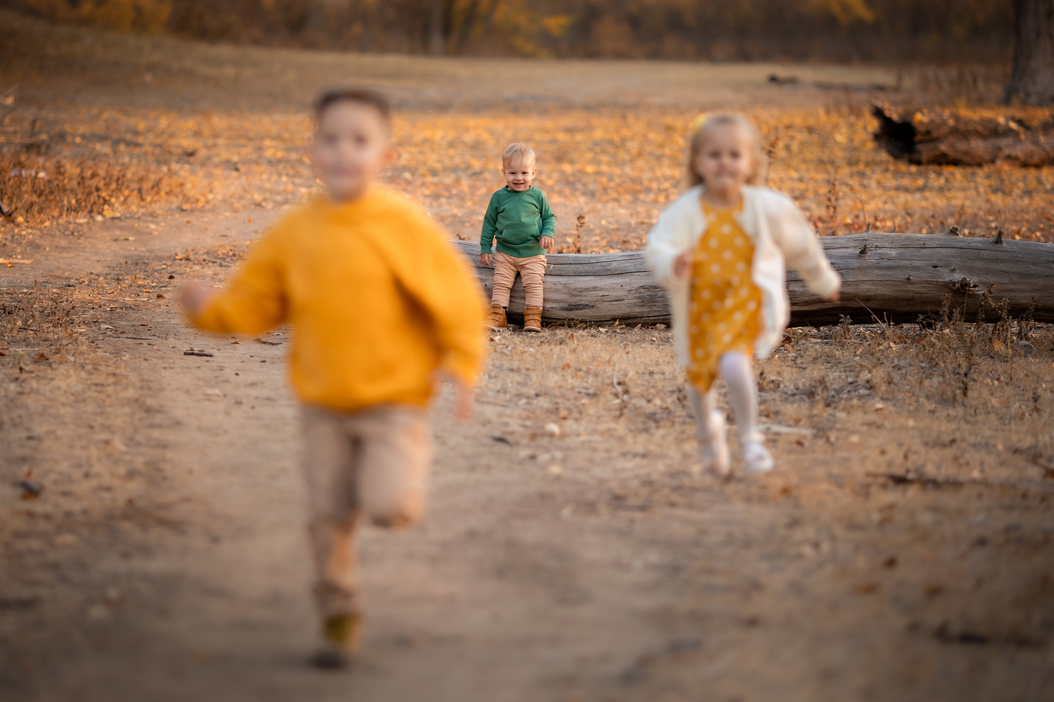 Осенняя история. Татьяна Бесчастнова. Ваш семейный фотограф